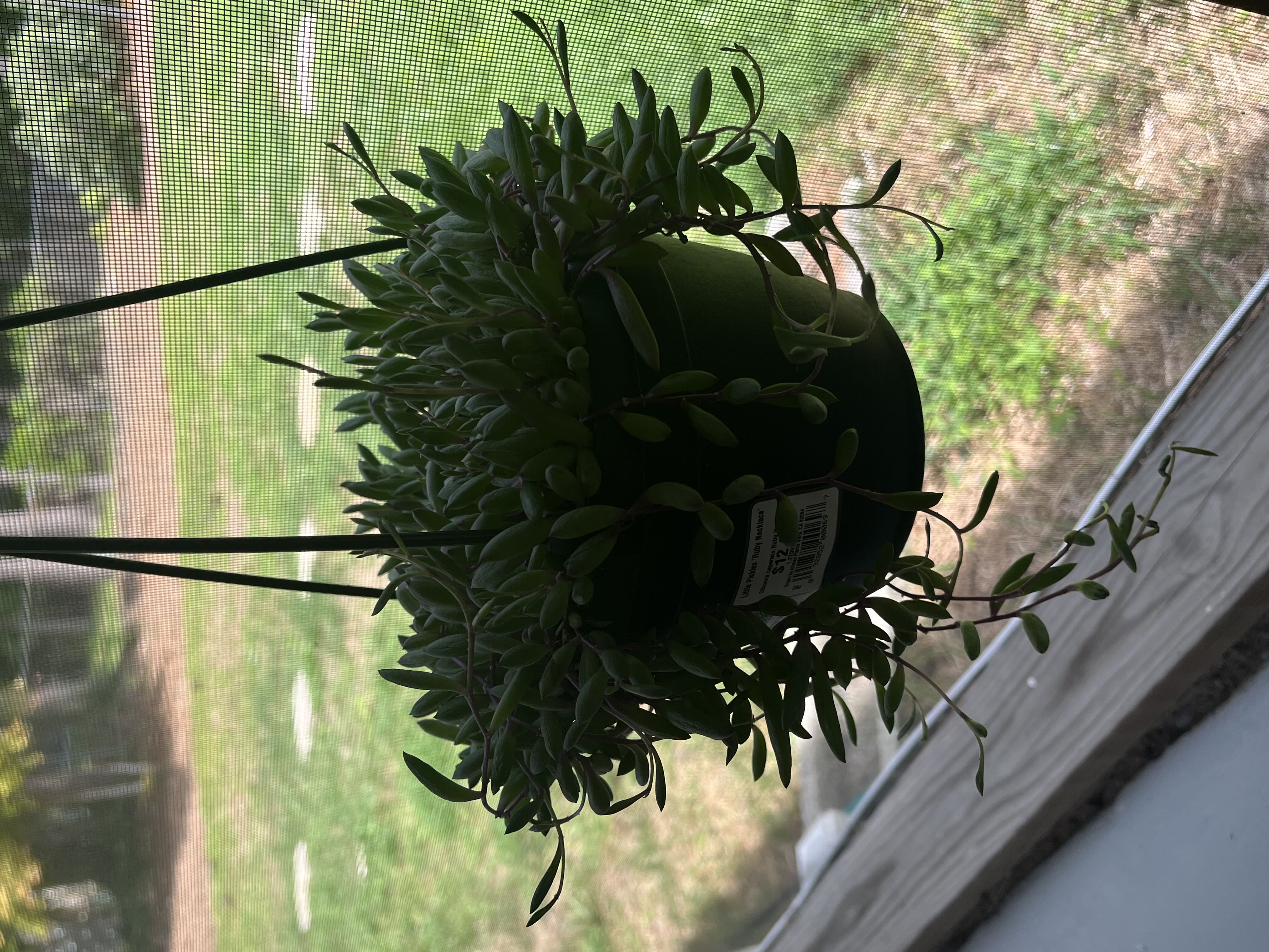 Photo from the post