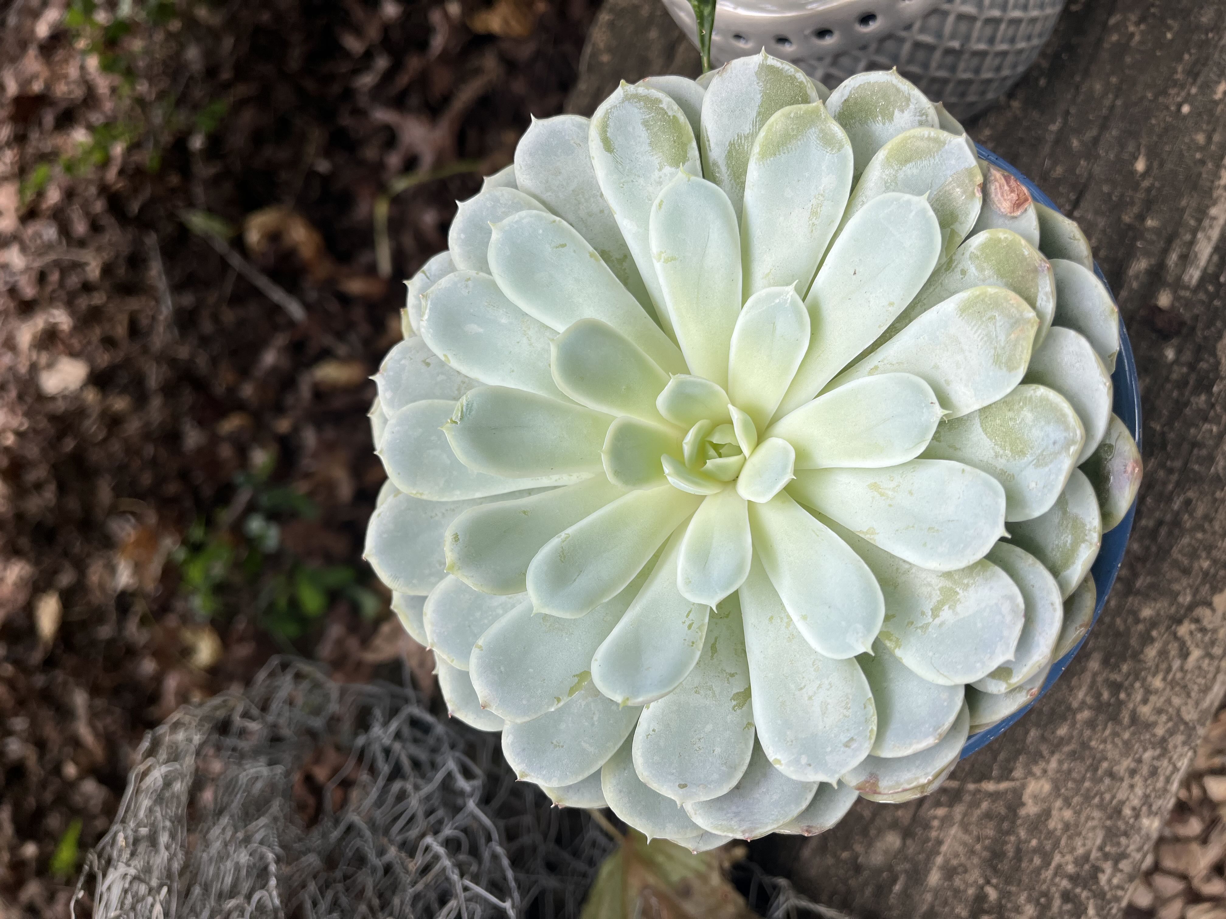 Photo from the post