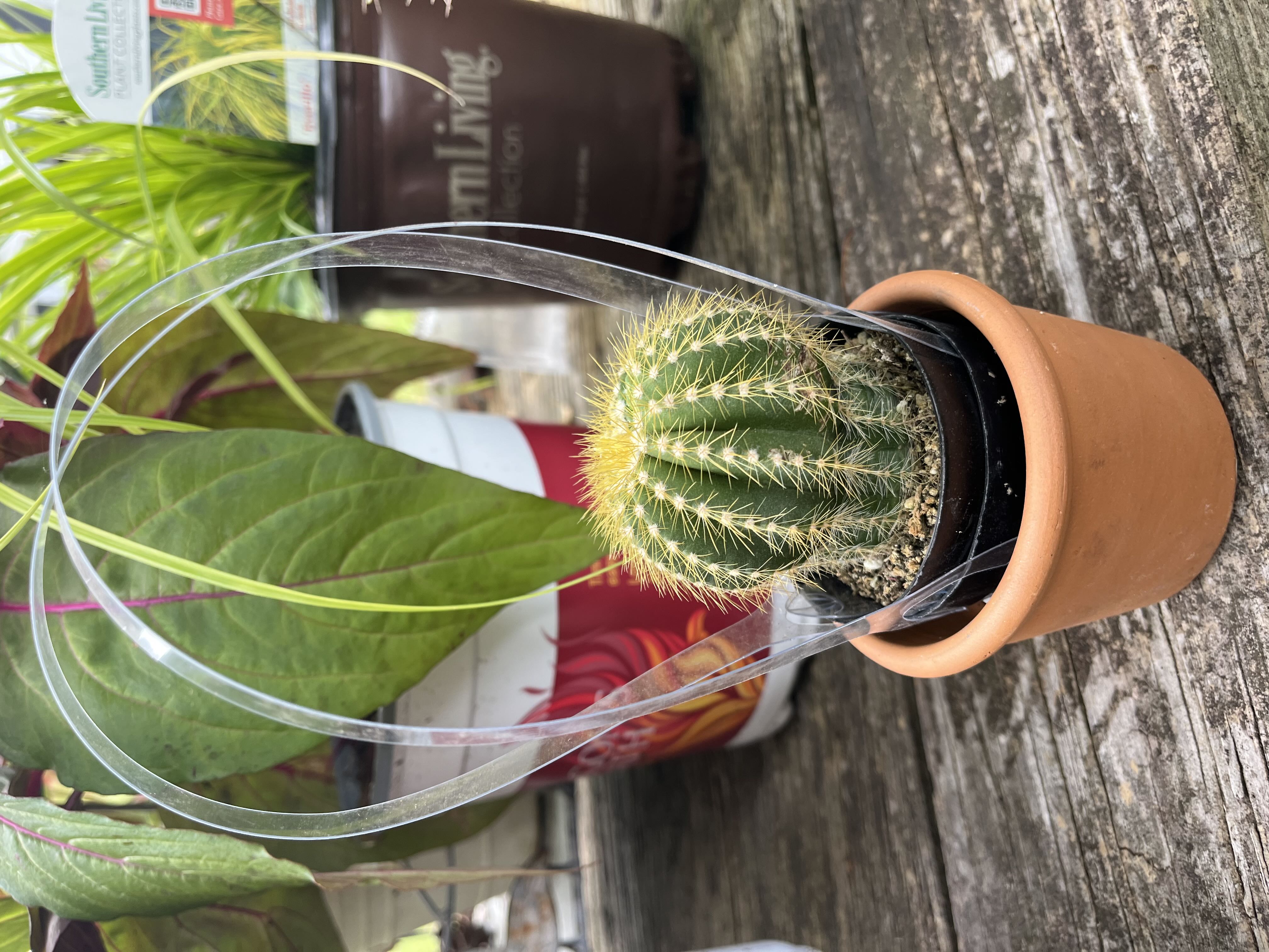 Photo from the post