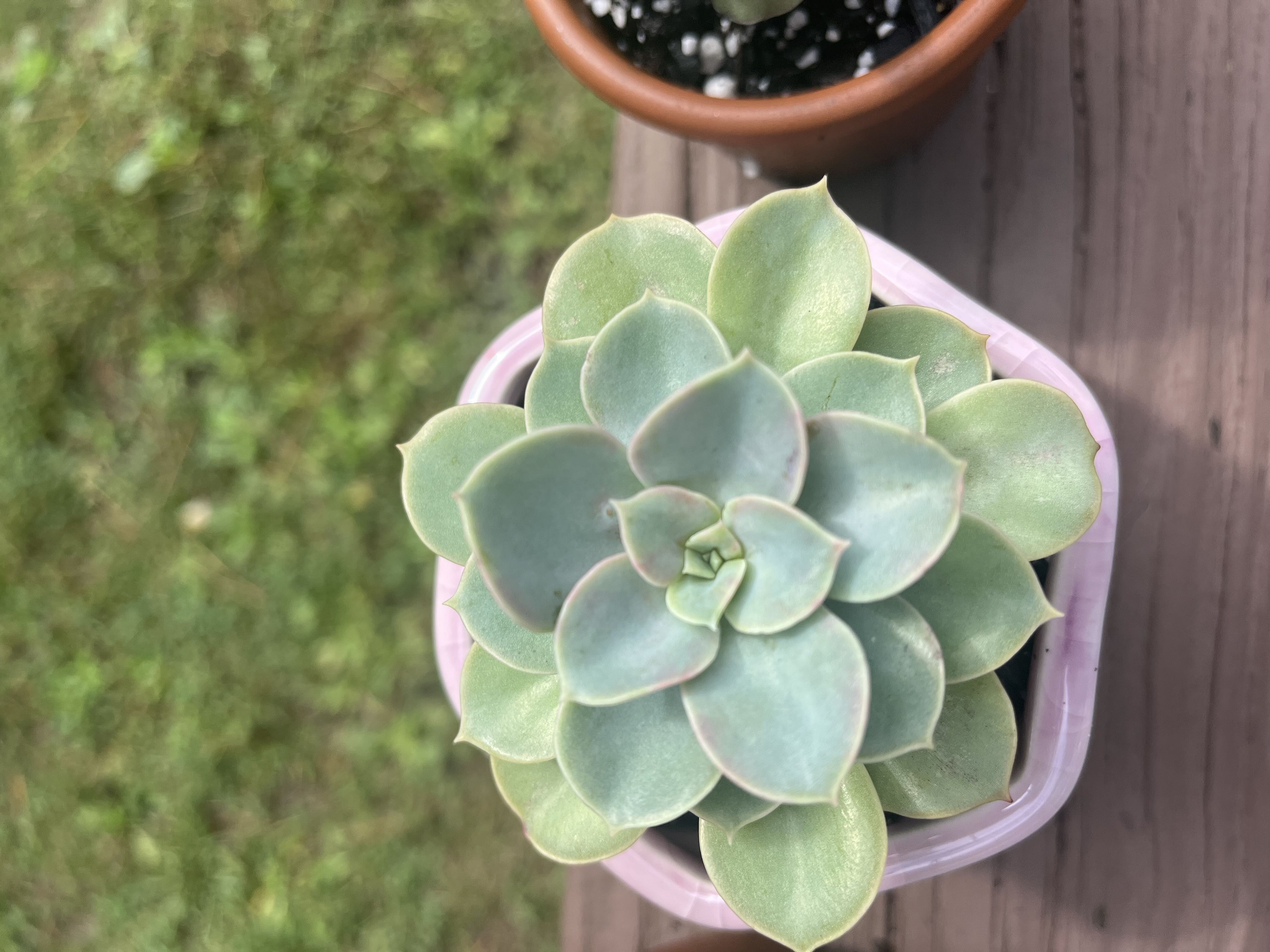 Photo from the post