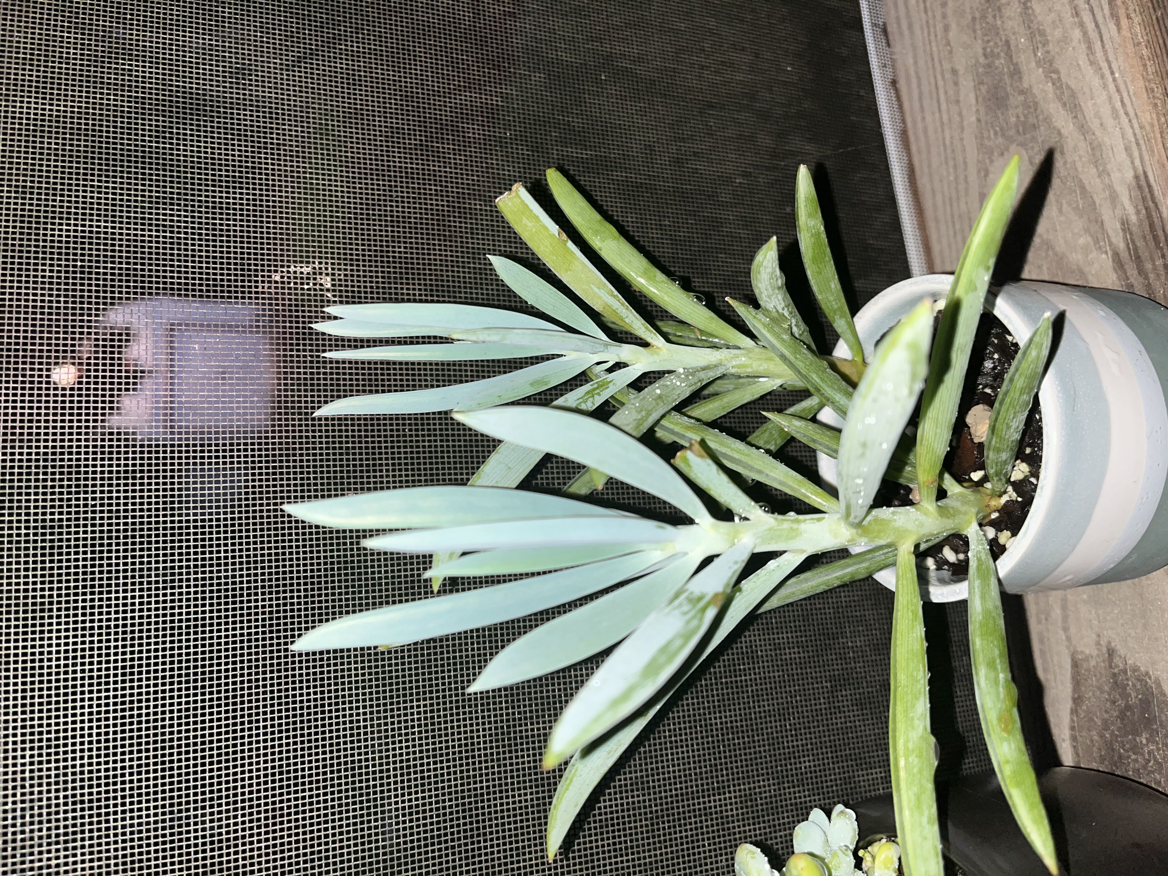 Photo from the post