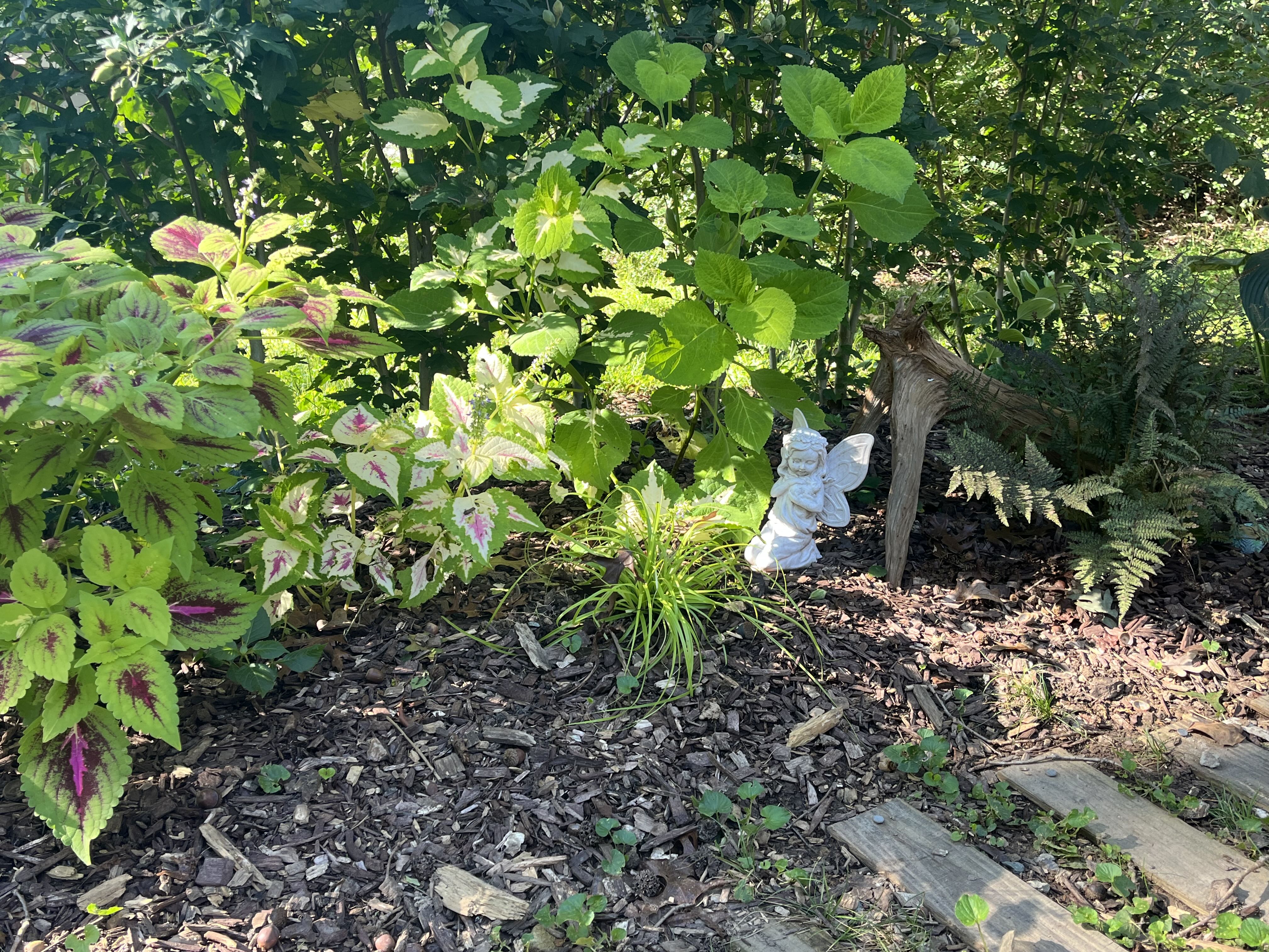 Photo from the post