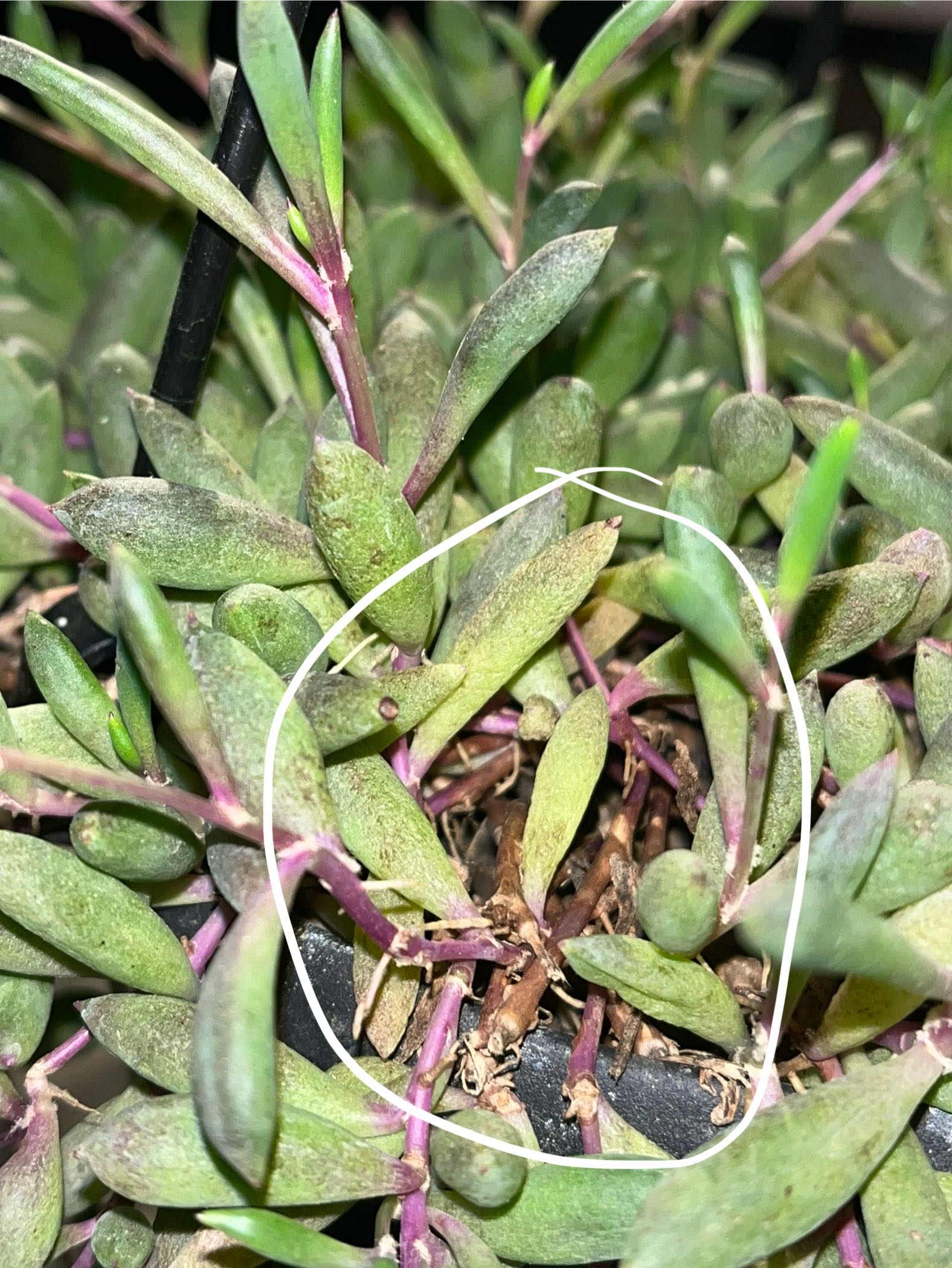 Photo from the post