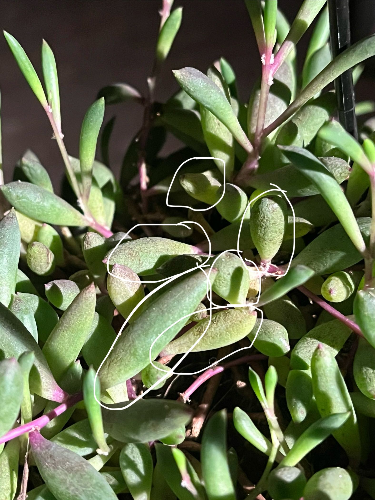 Photo from the post