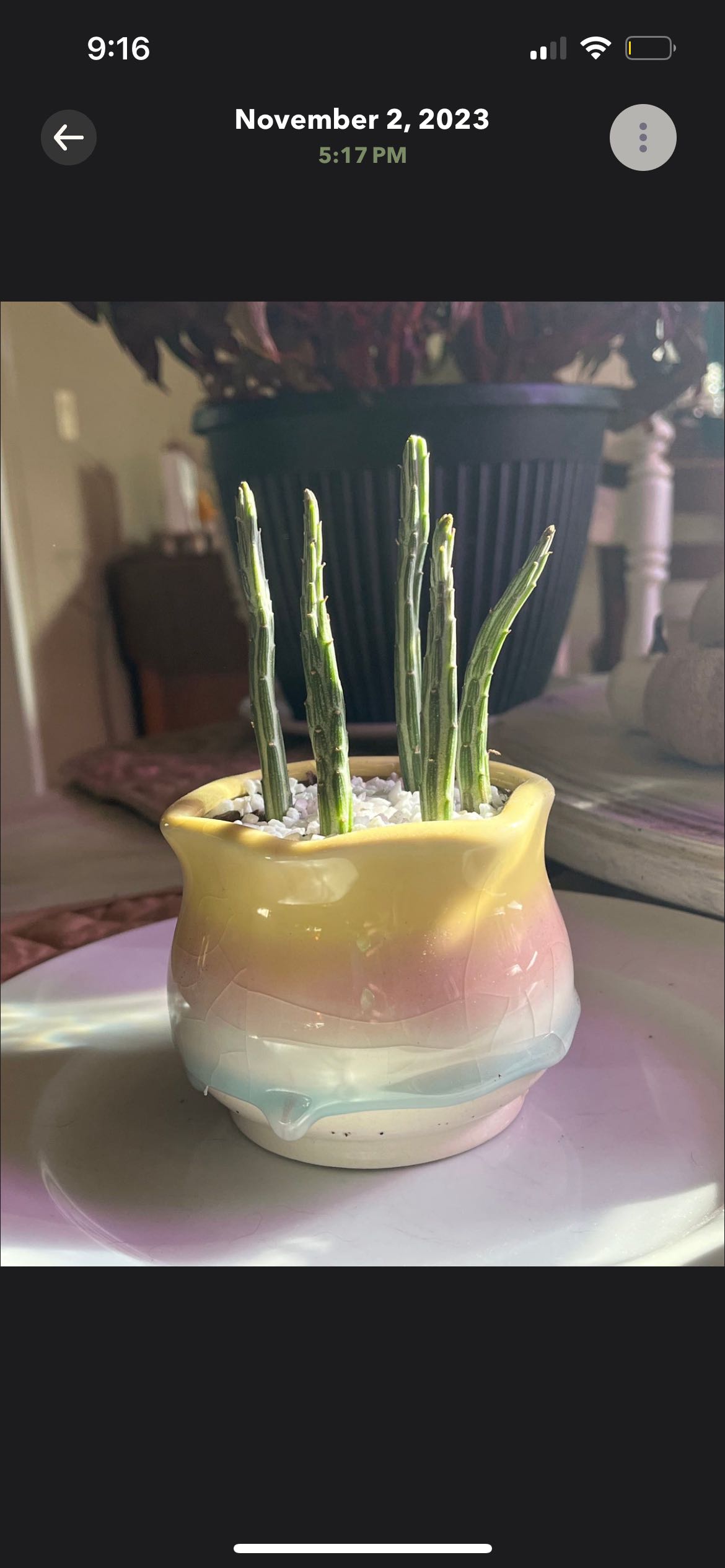 Photo from the post
