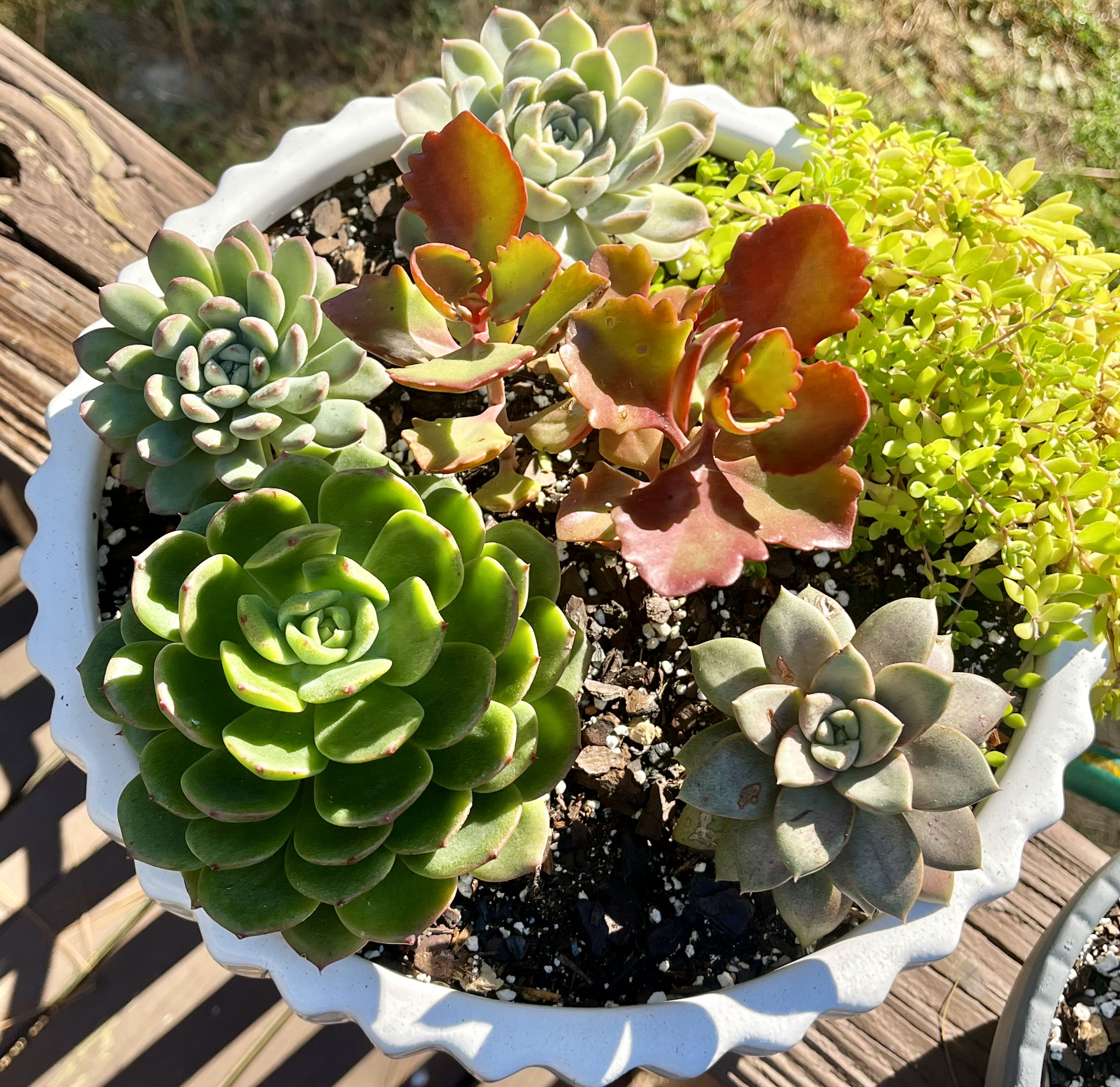 Photo from the post
