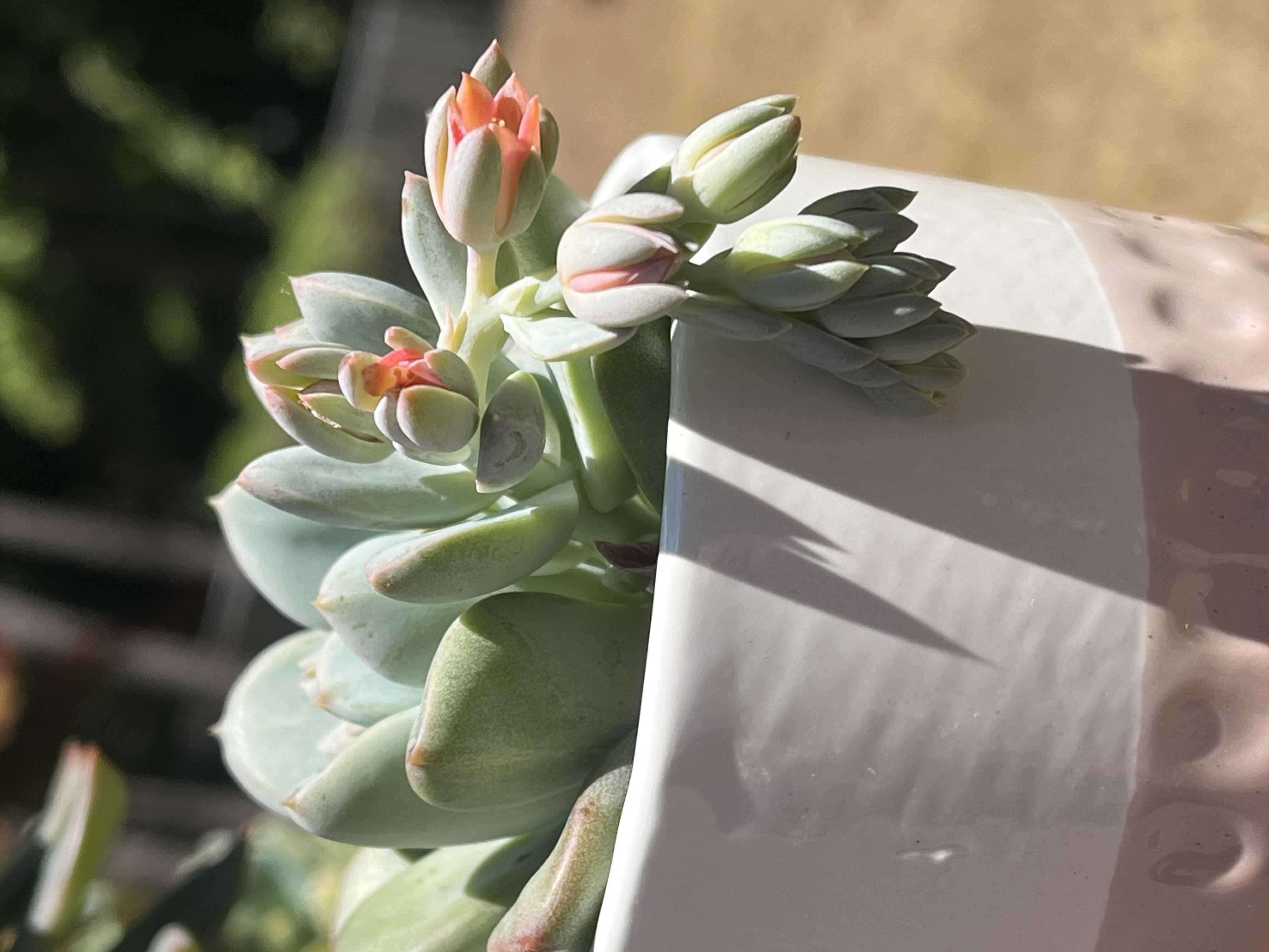 Photo from the post