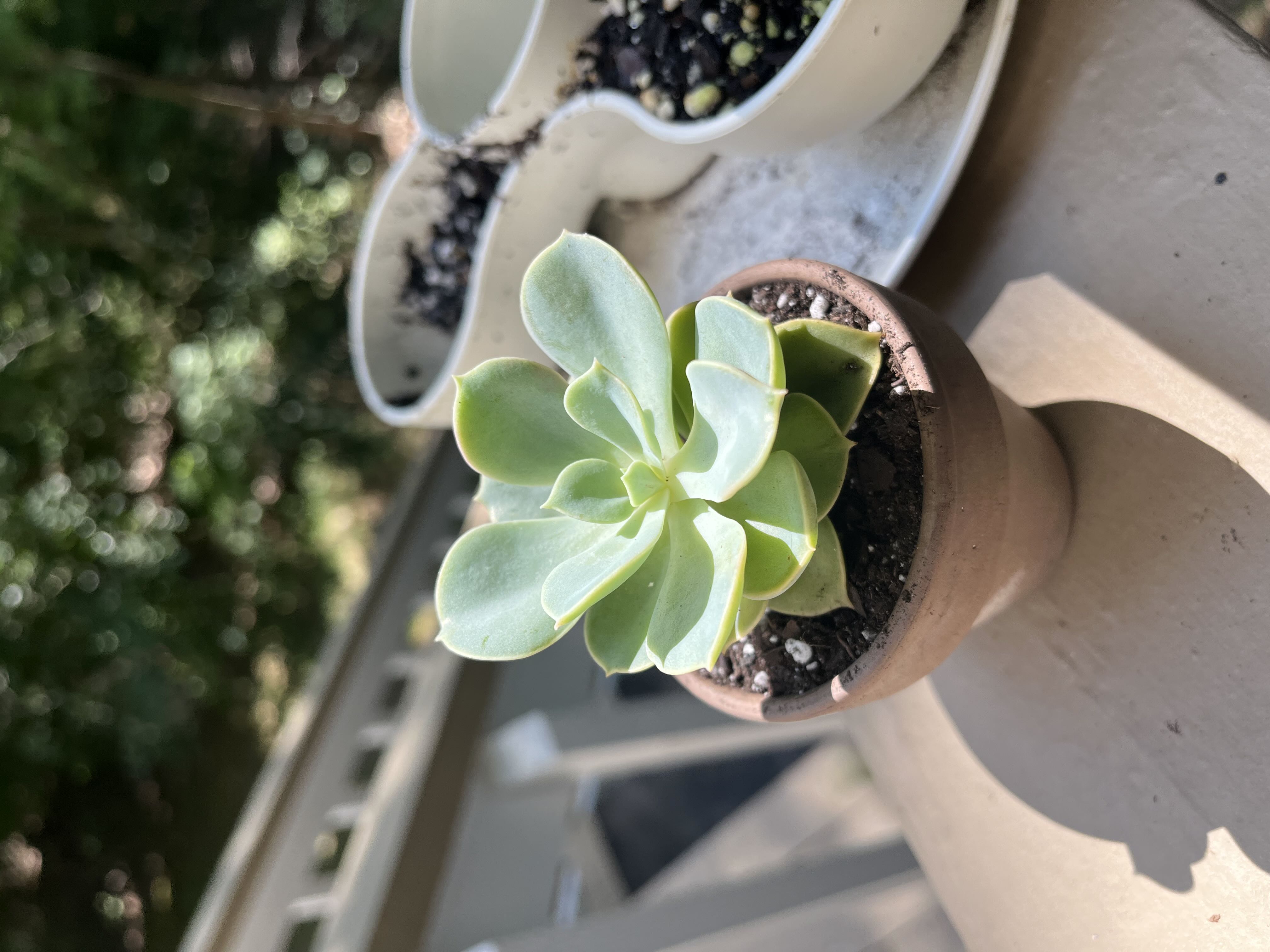 Photo from the post