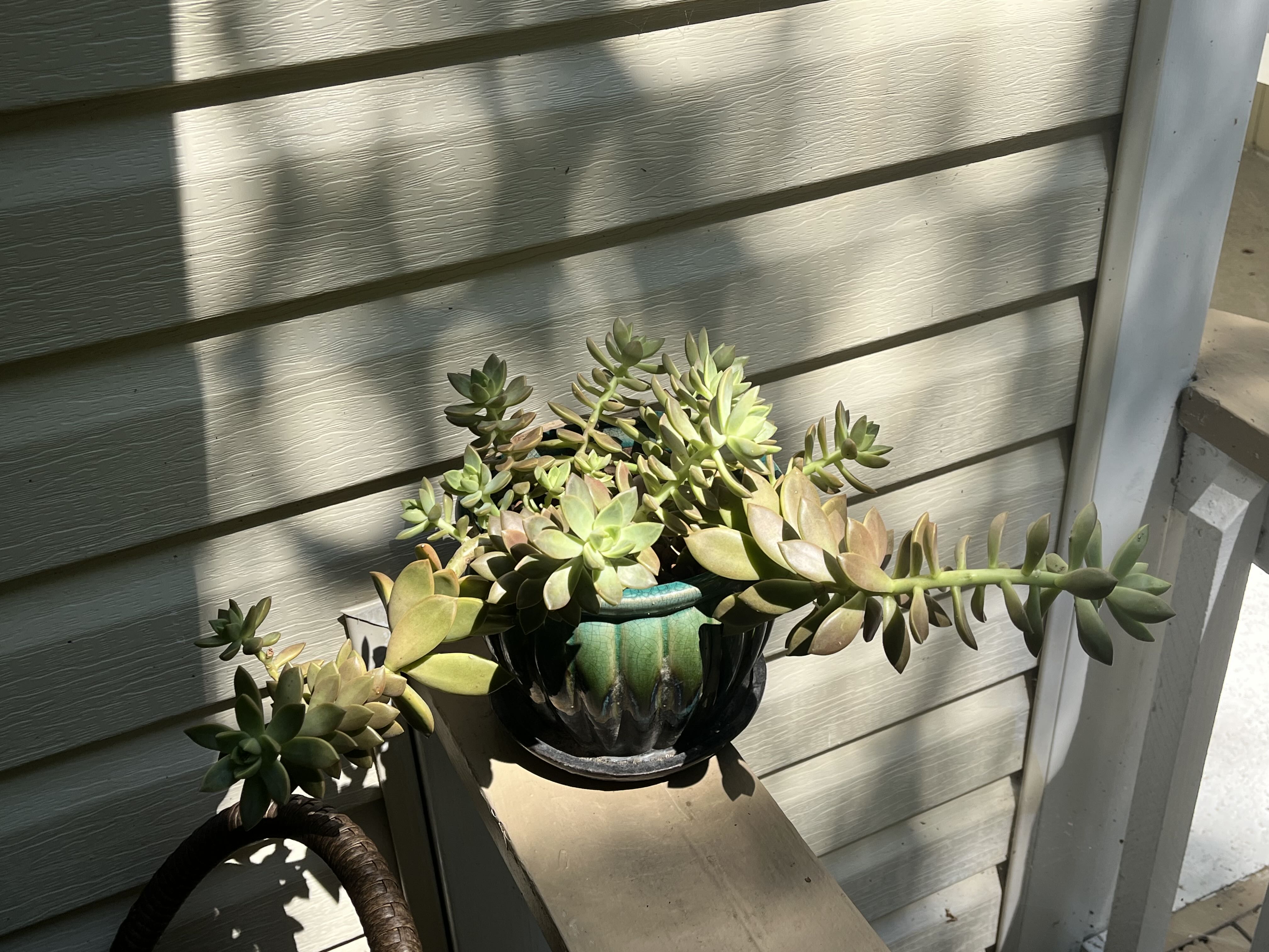 Photo from the post