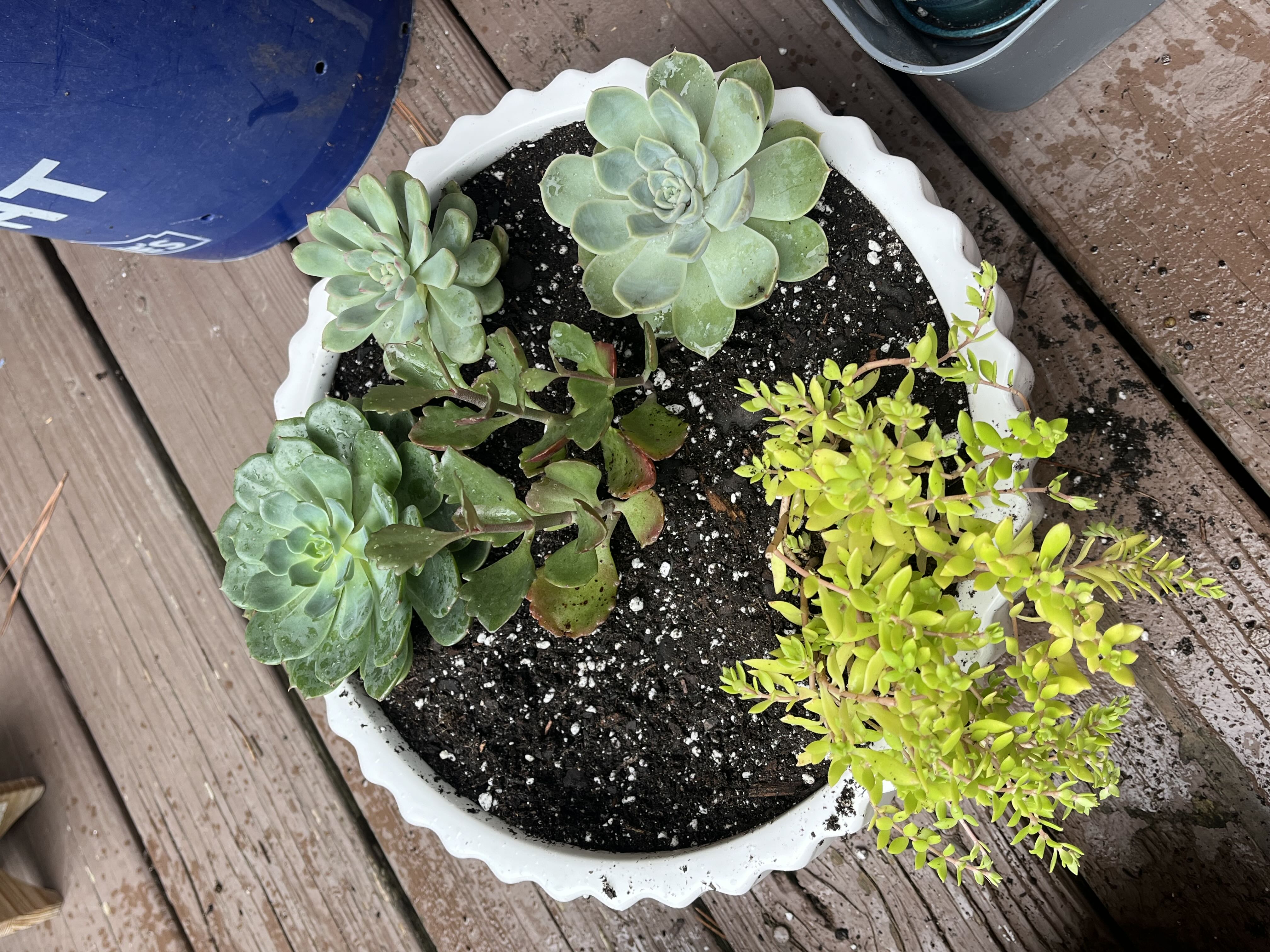 Photo from the post