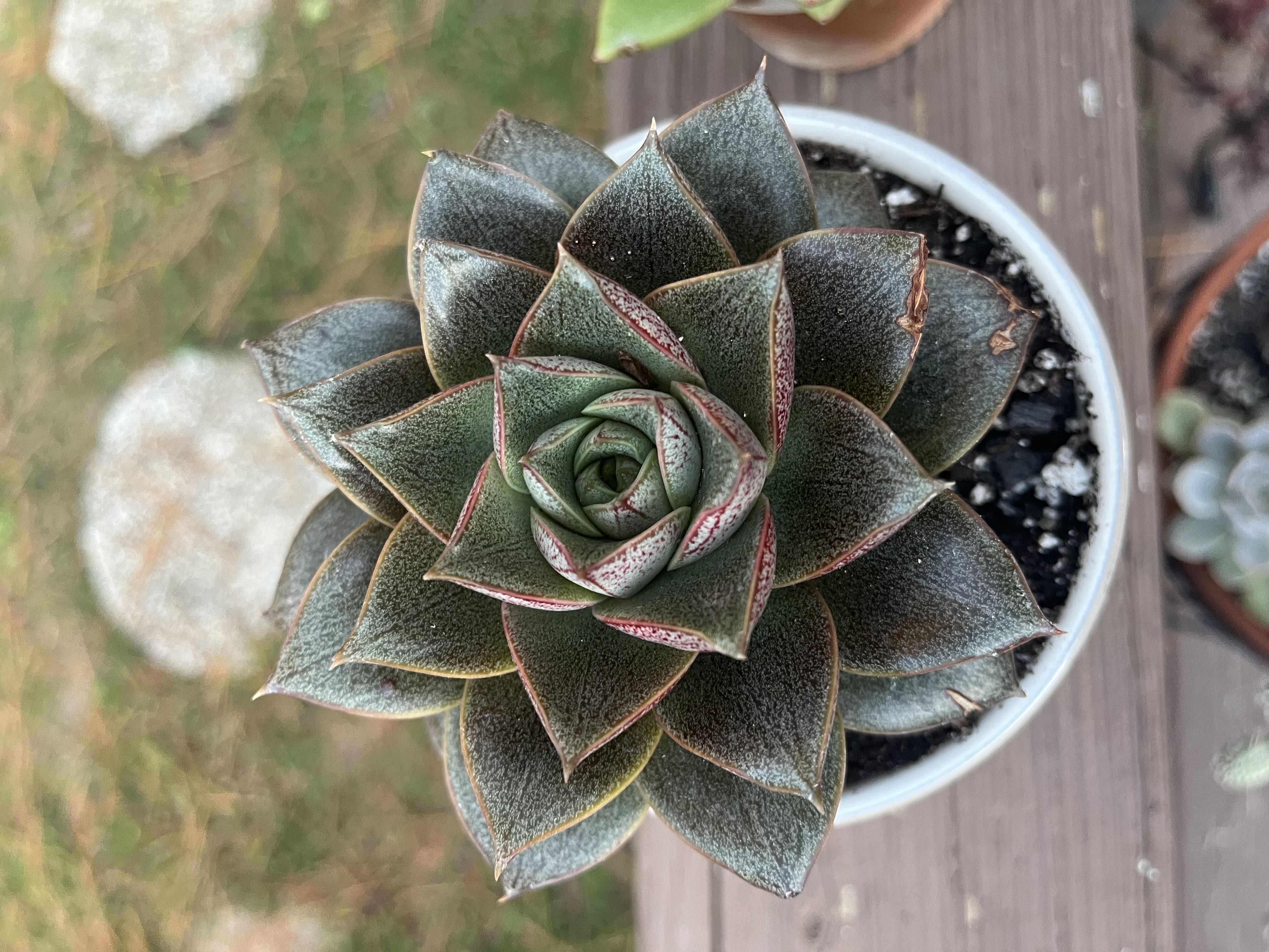 Photo from the post