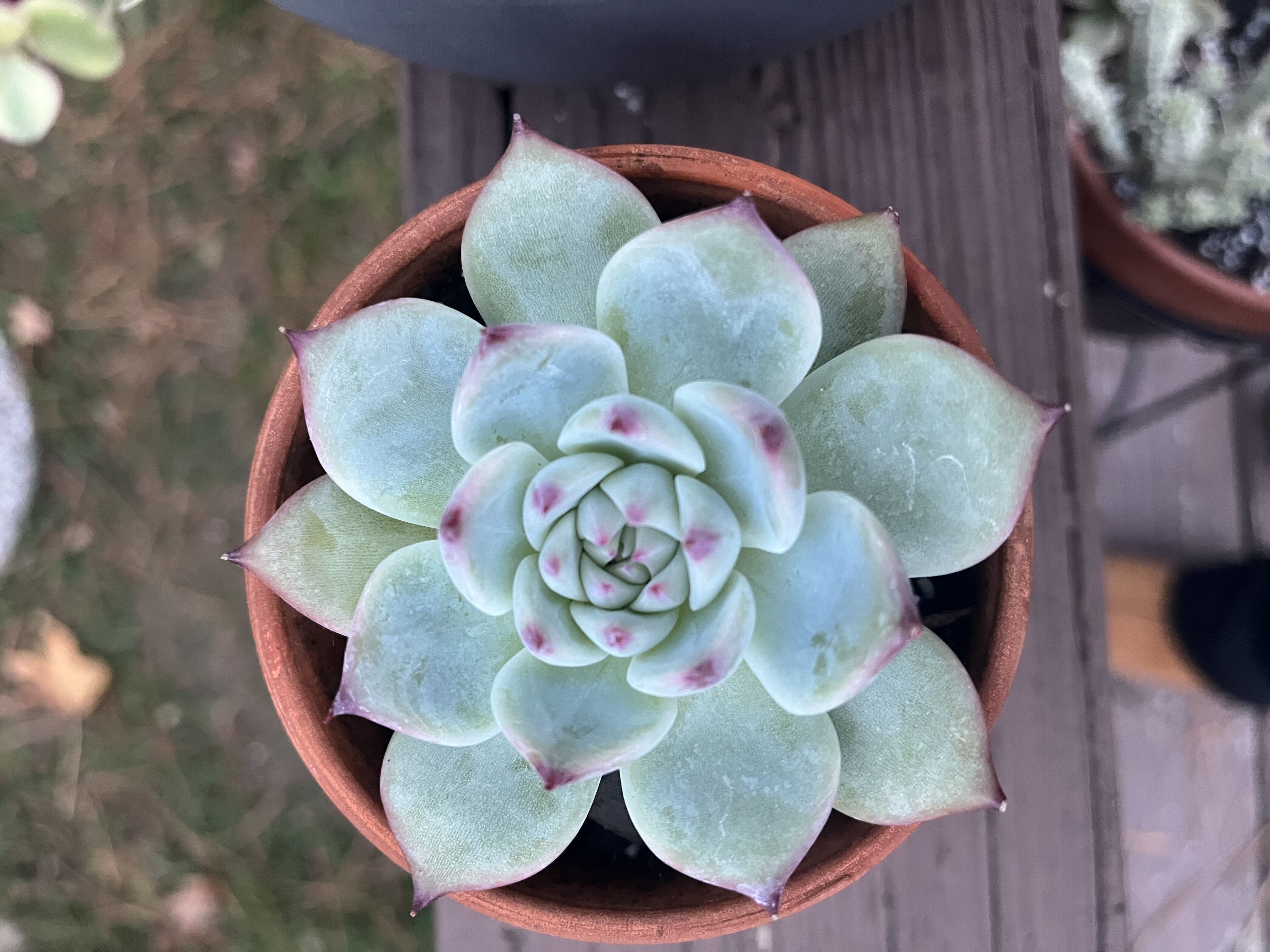 Photo from the post