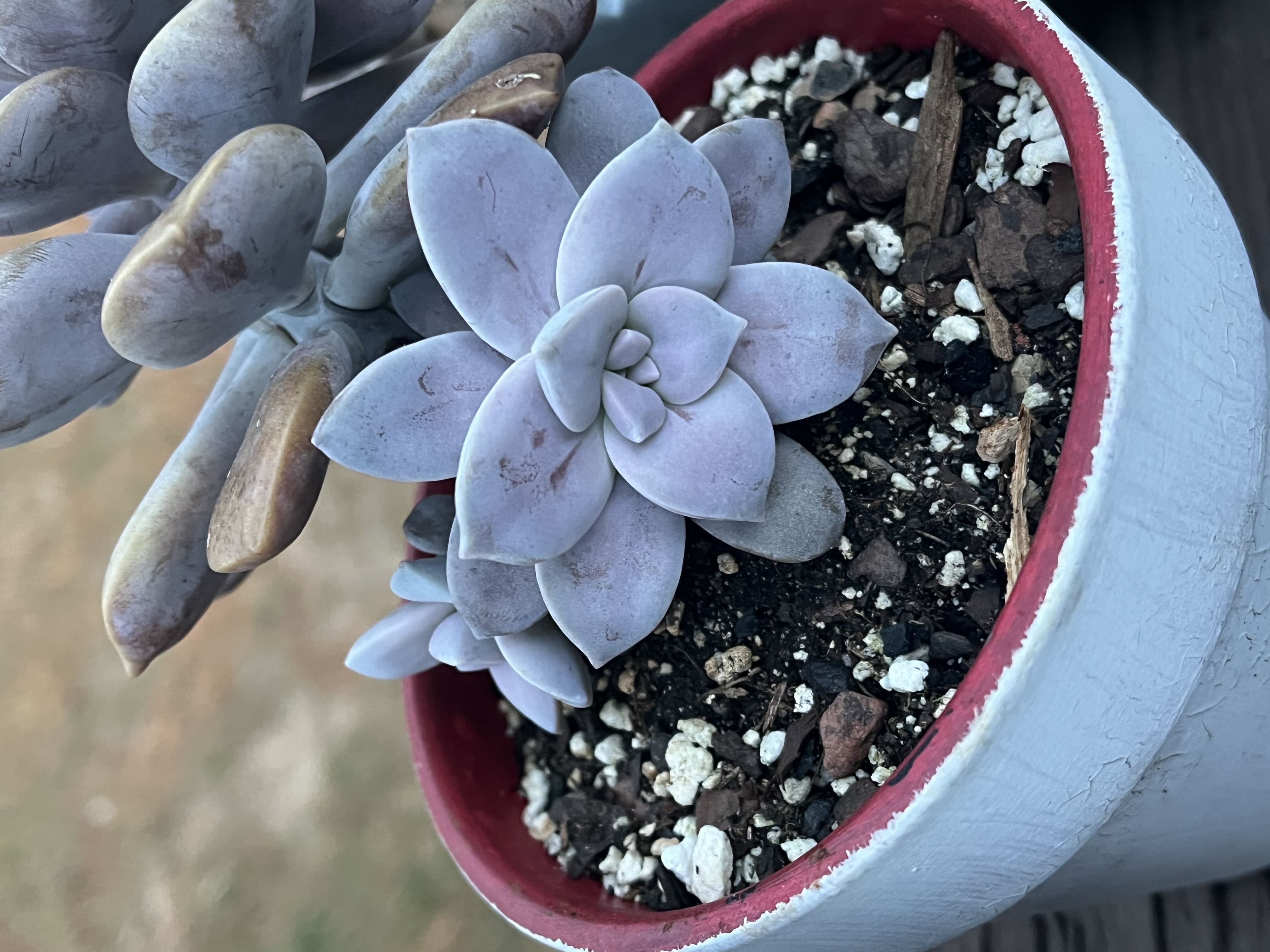 Photo from the post
