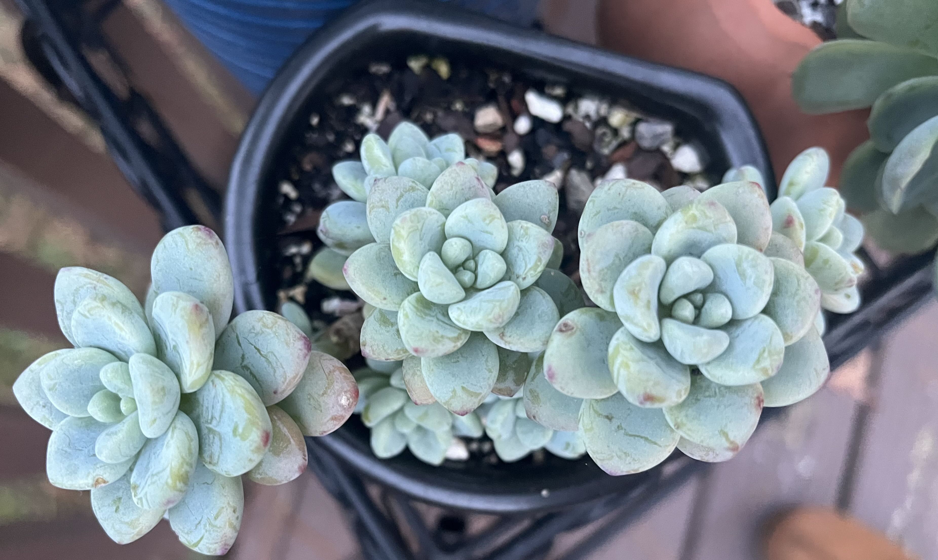 Photo from the post