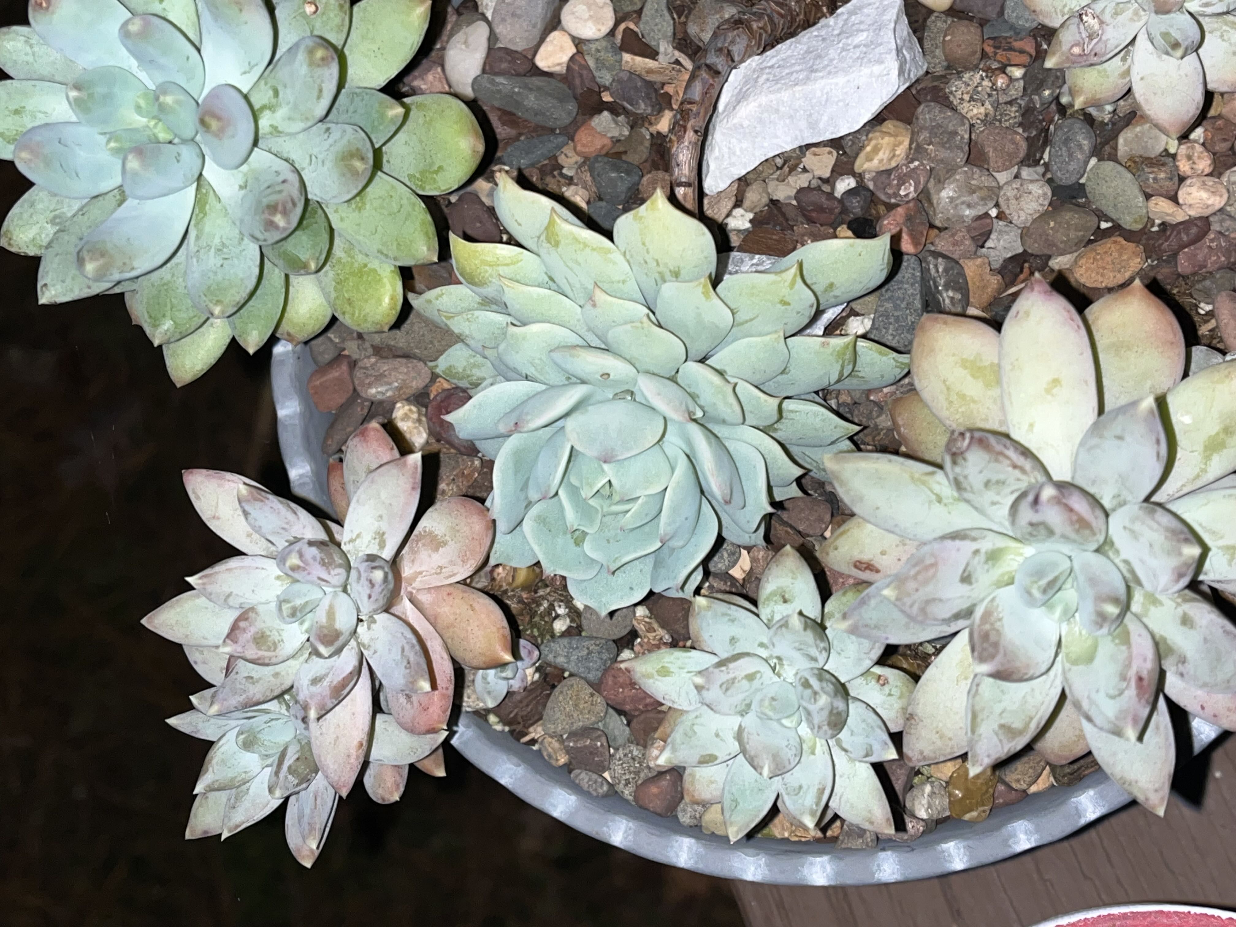 Photo from the post