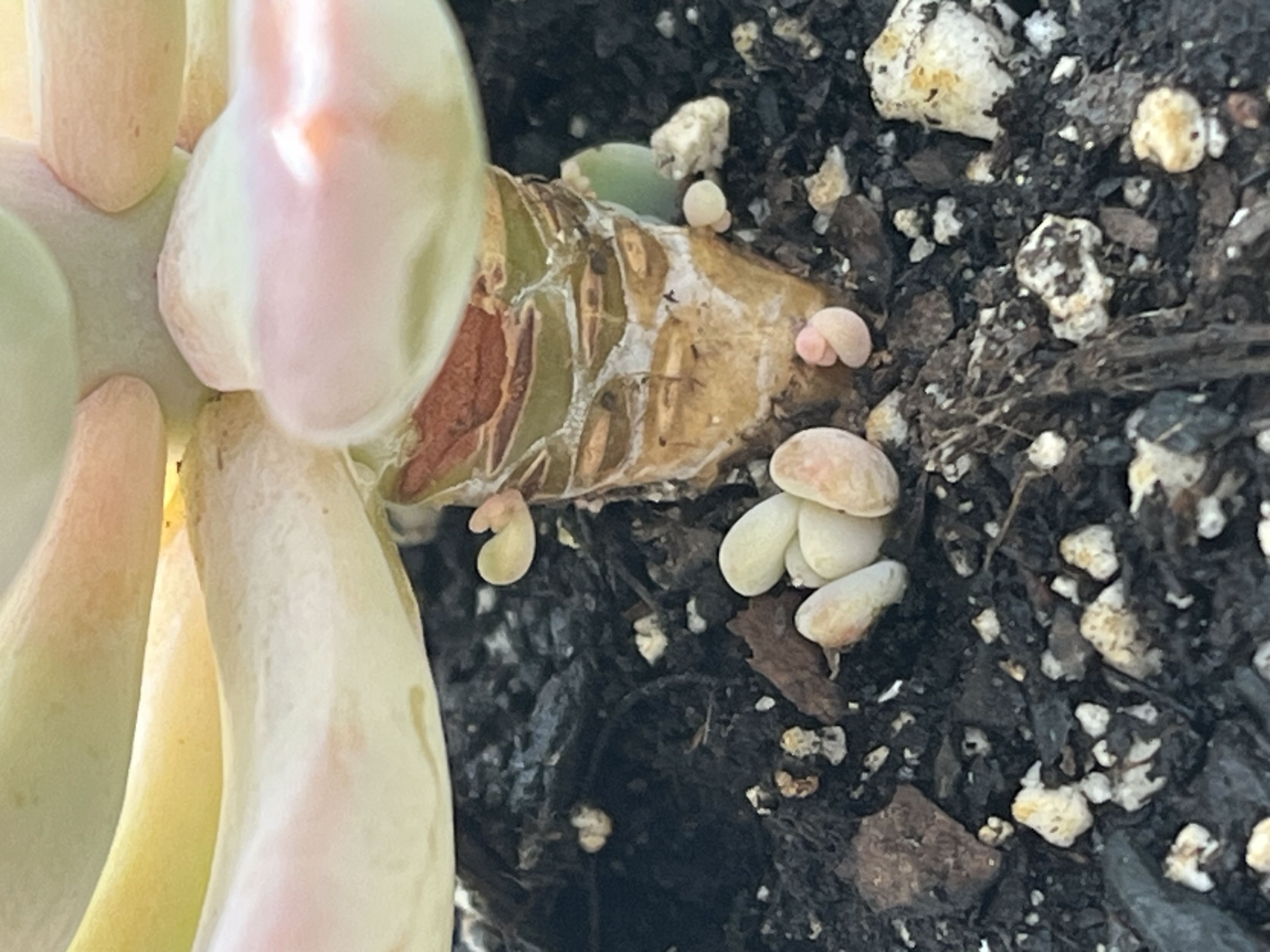 Photo from the post