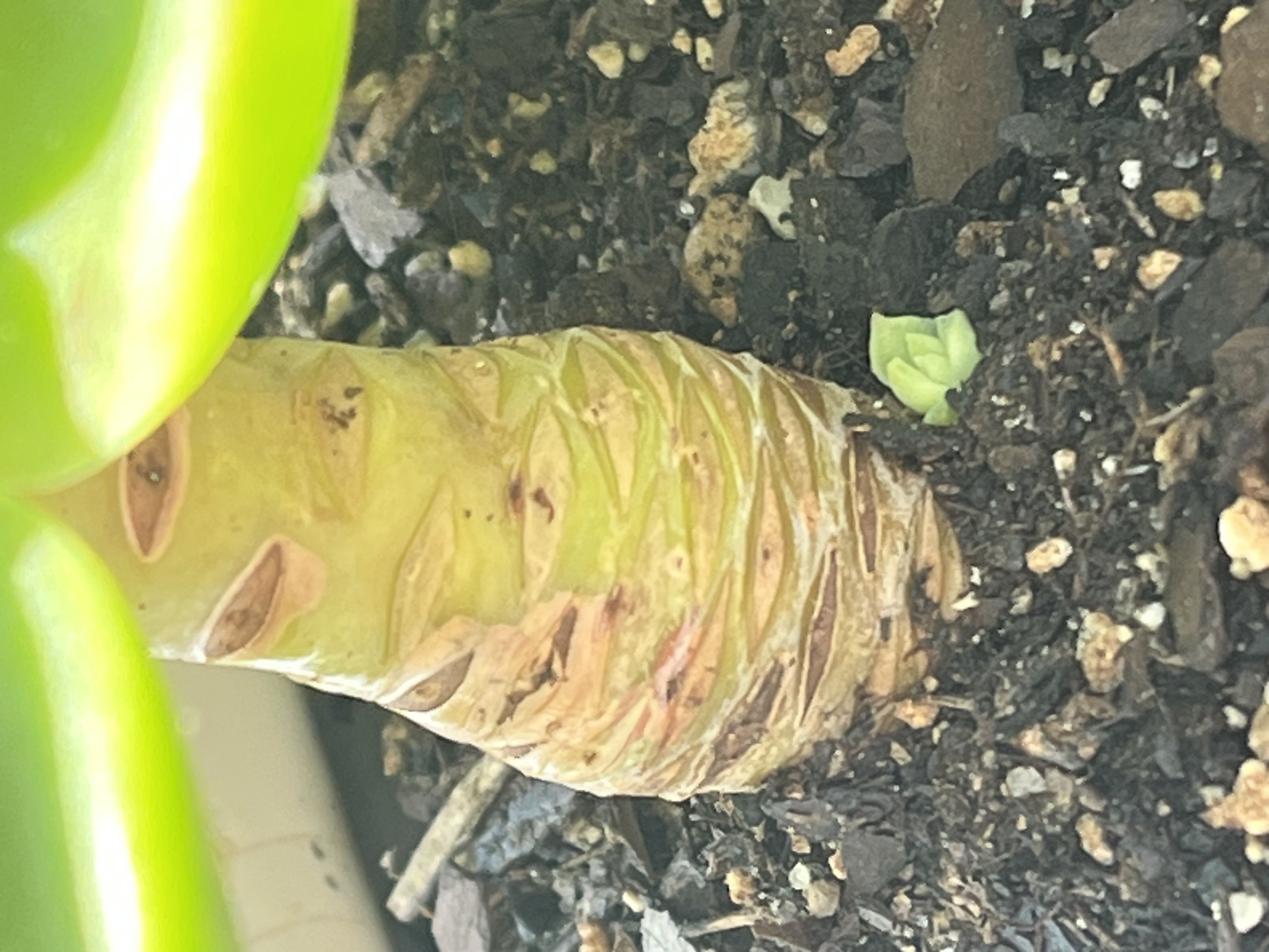 Photo from the post