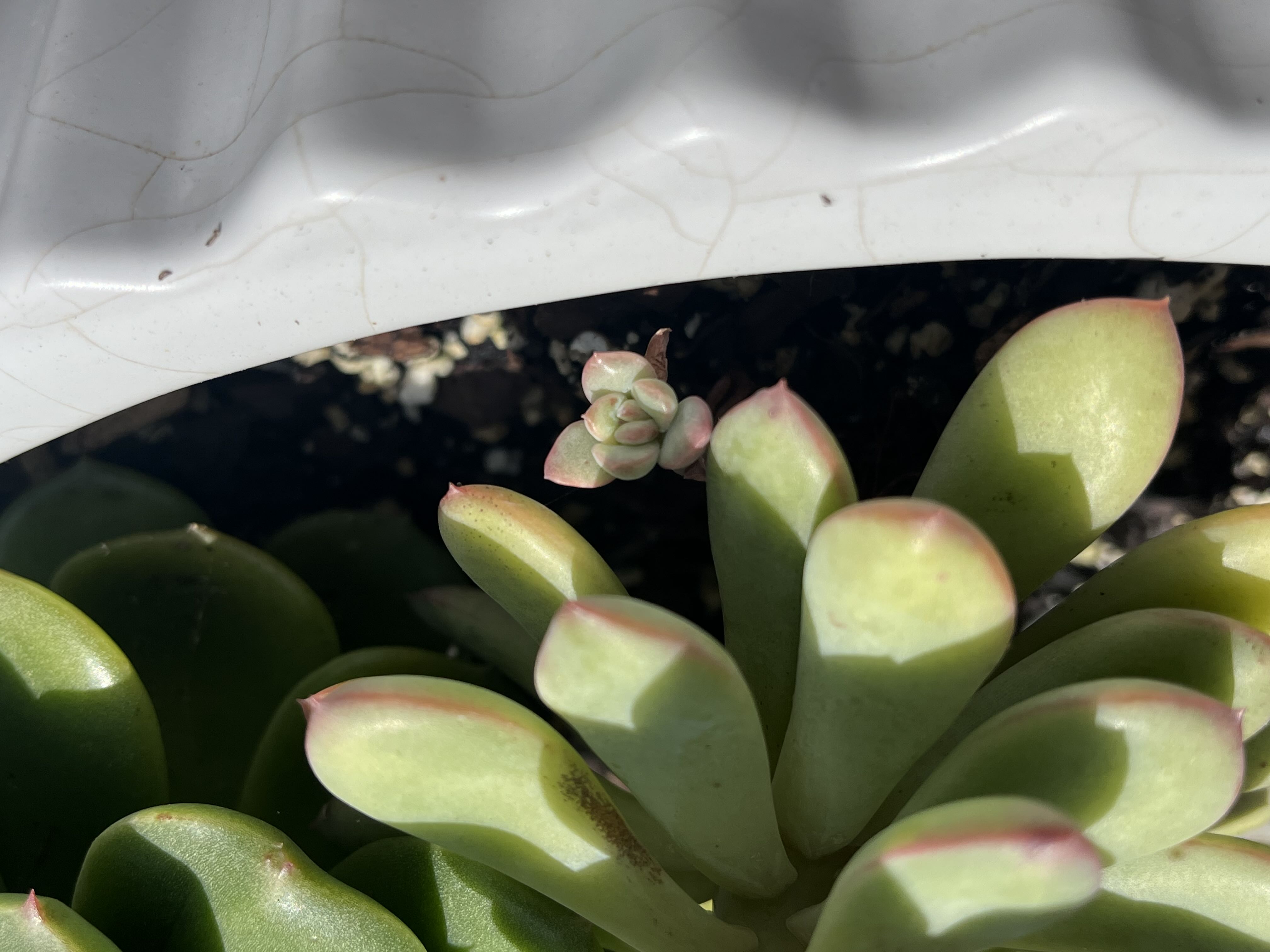 Photo from the post
