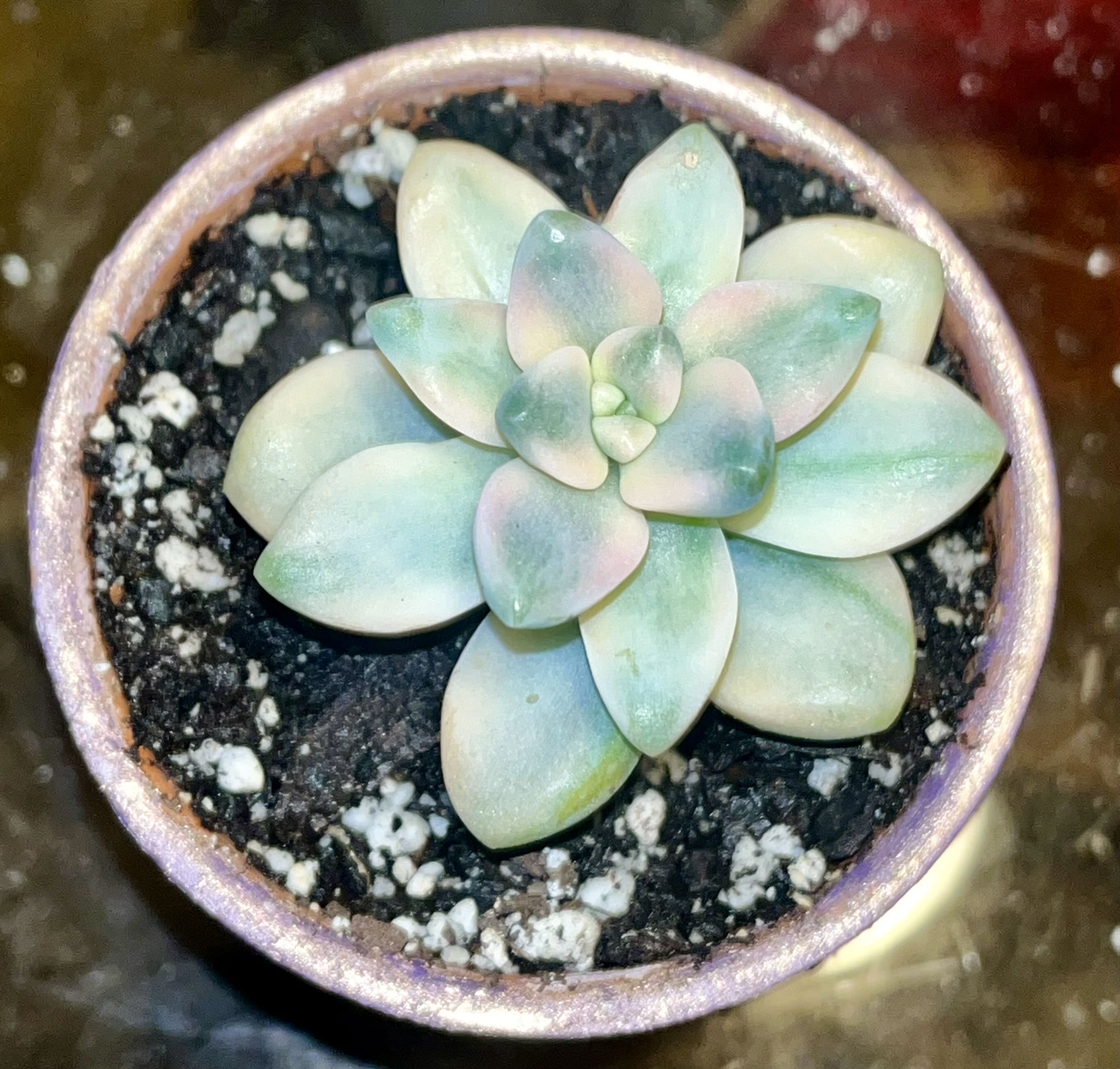 Photo from the post