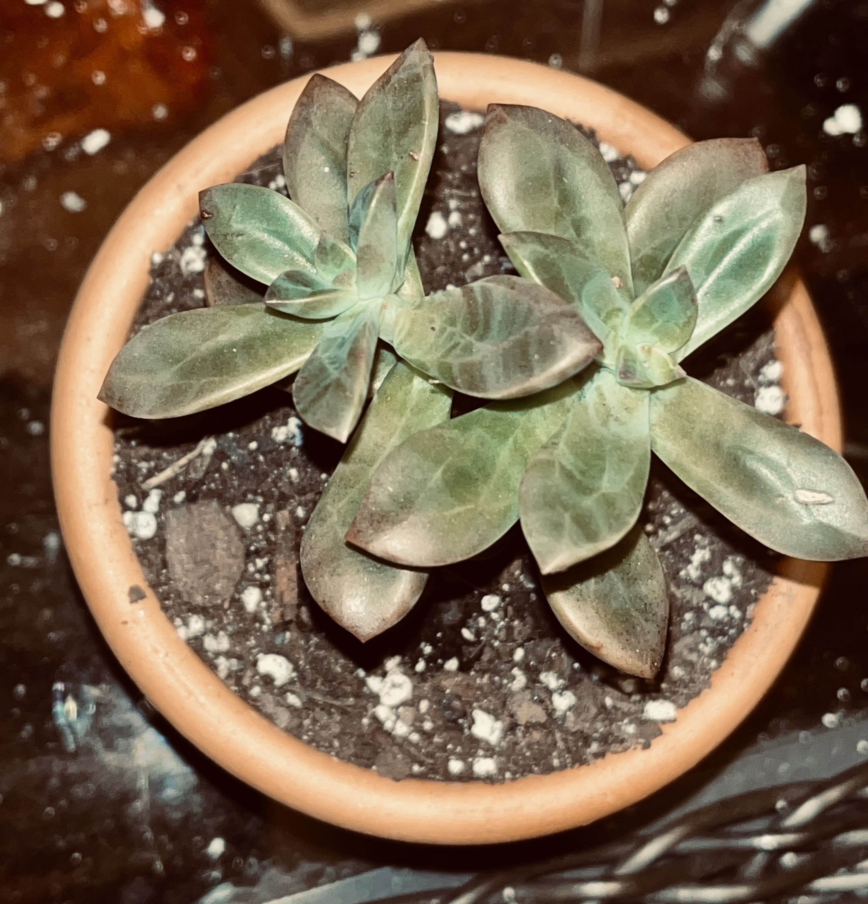 Photo from the post