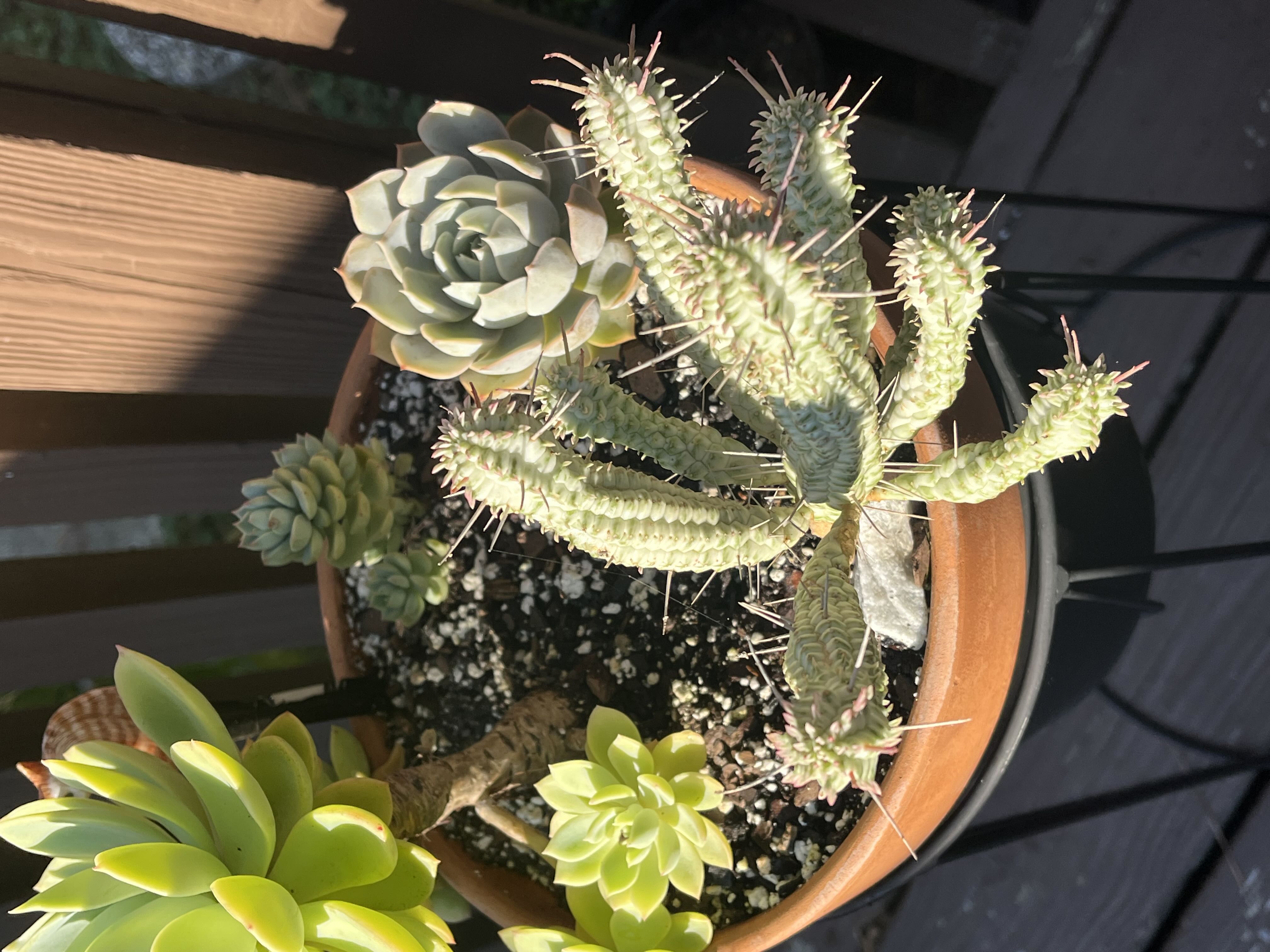 Photo from the post
