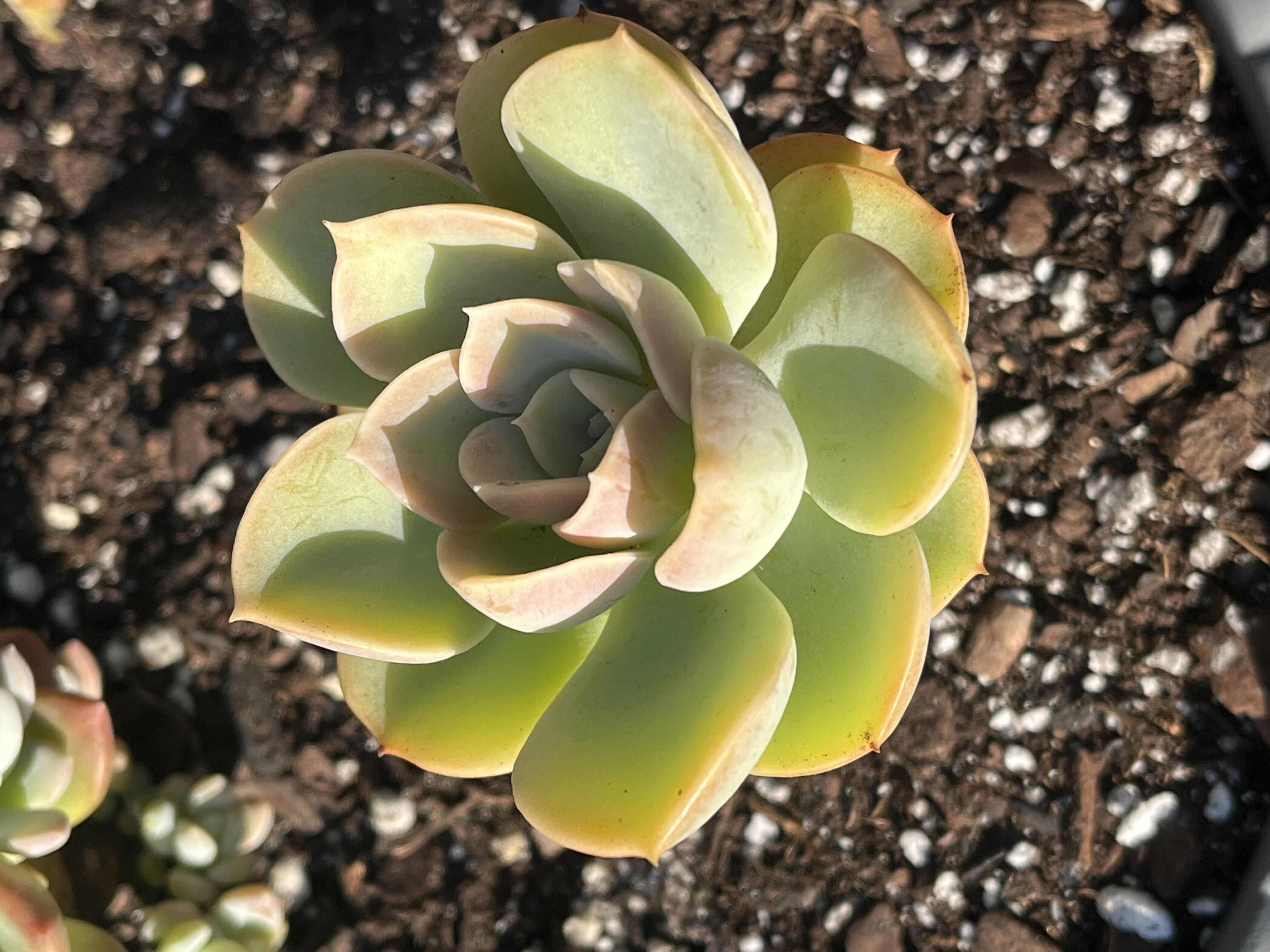 Photo from the post