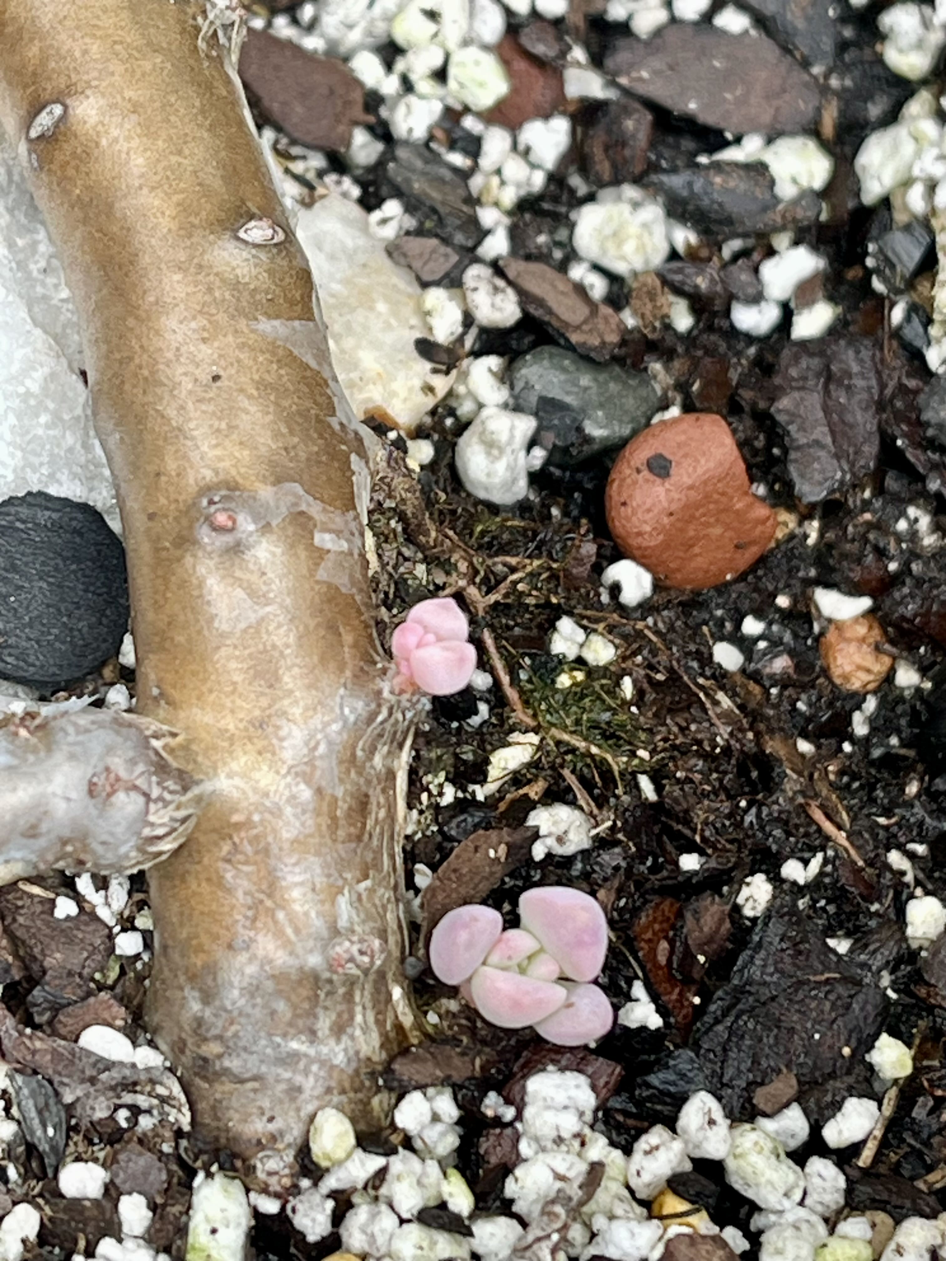 Photo from the post
