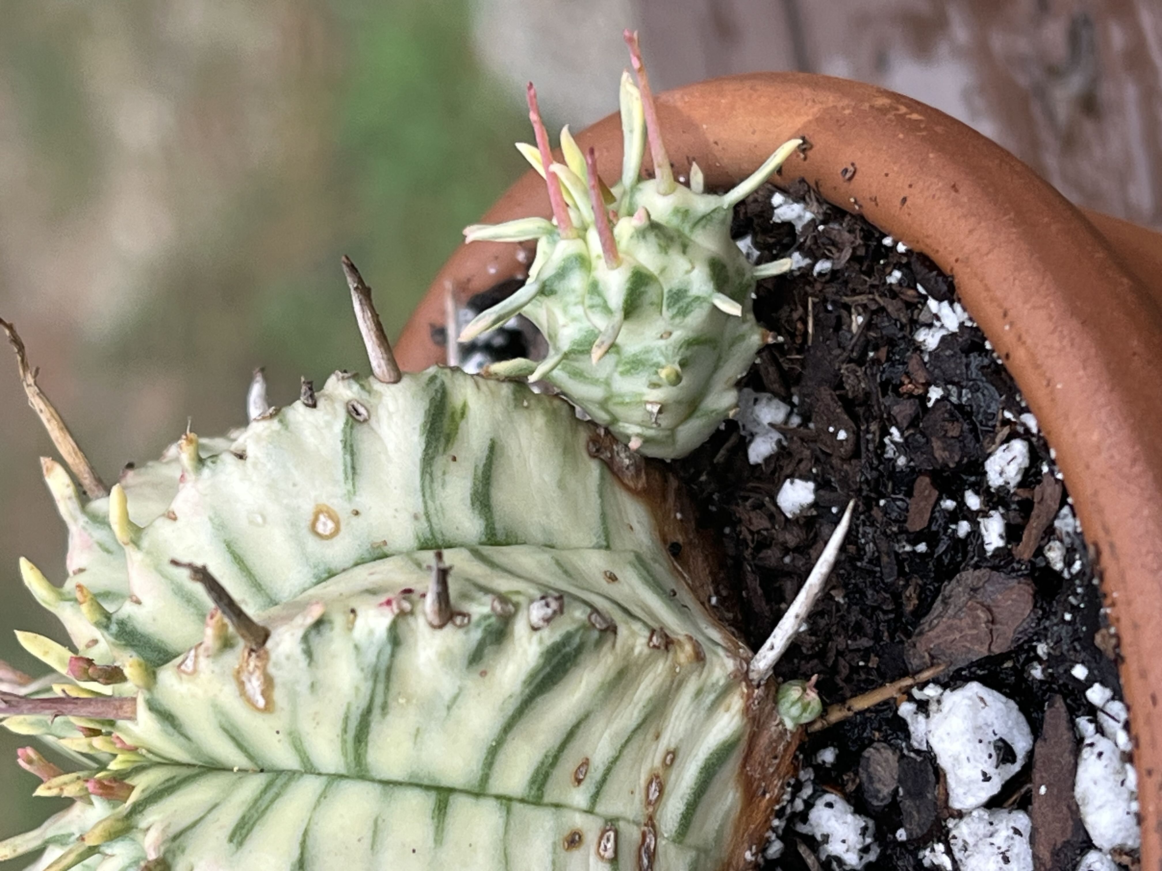 Photo from the post