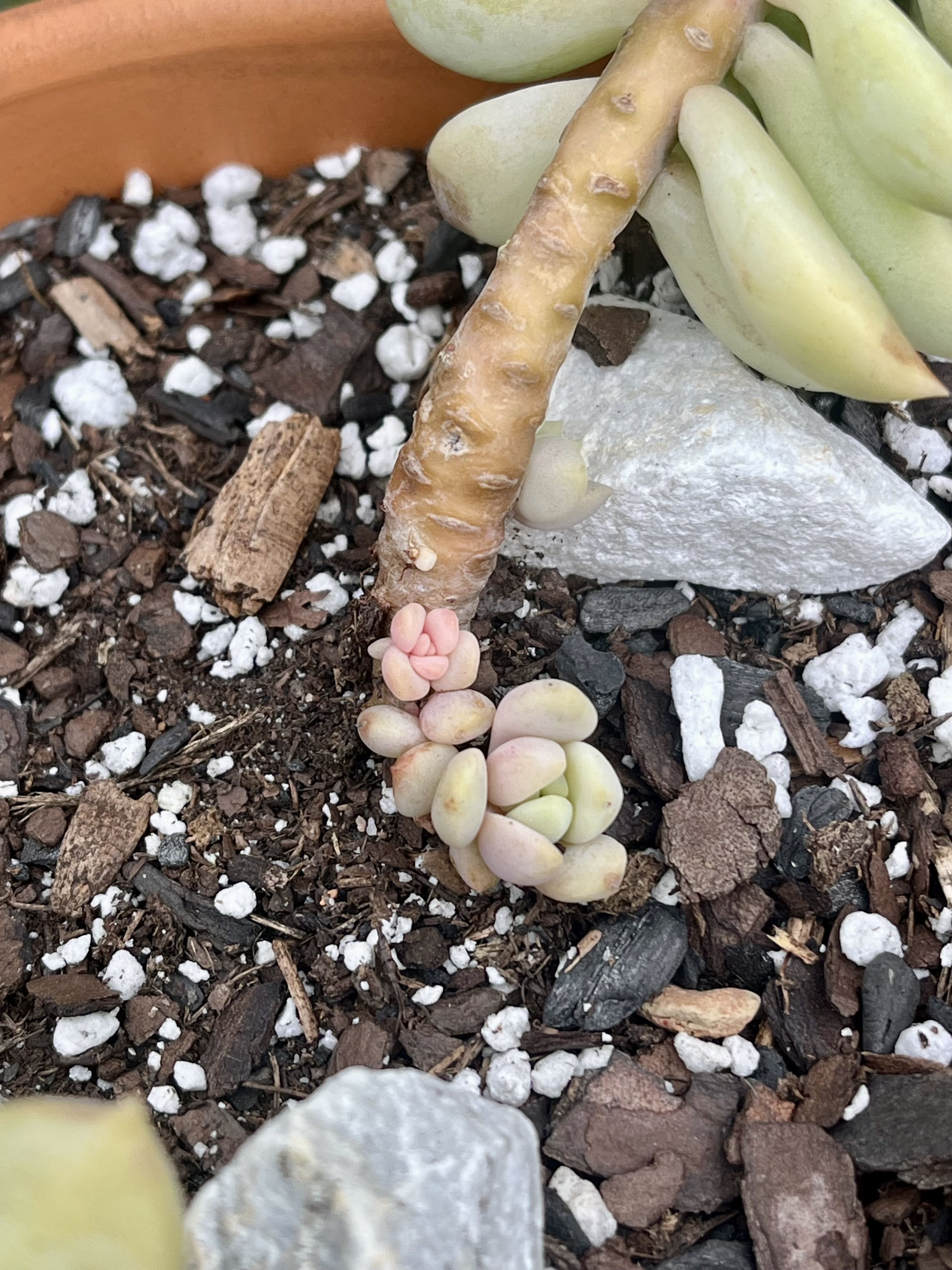 Photo from the post
