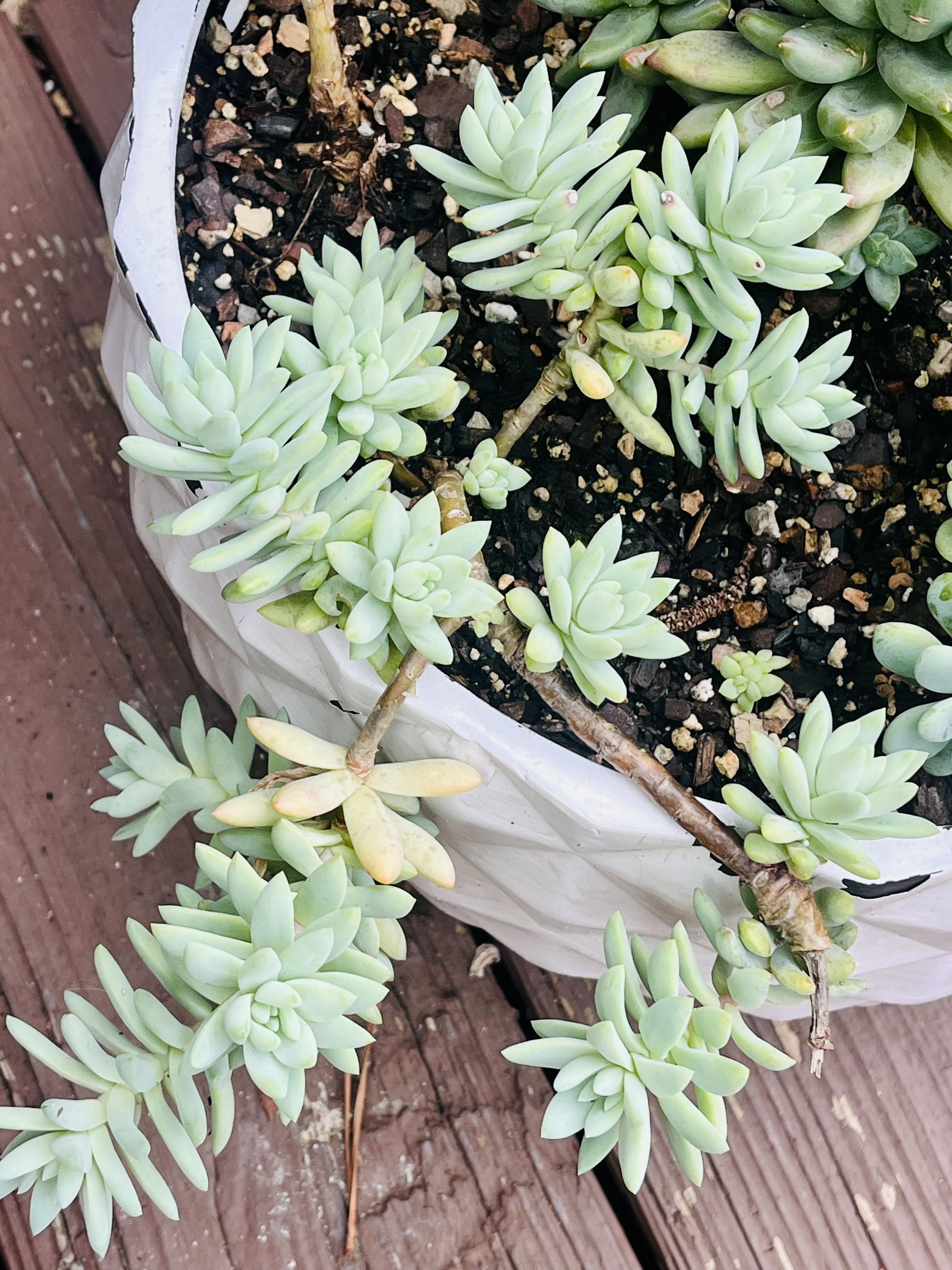 Photo from the post