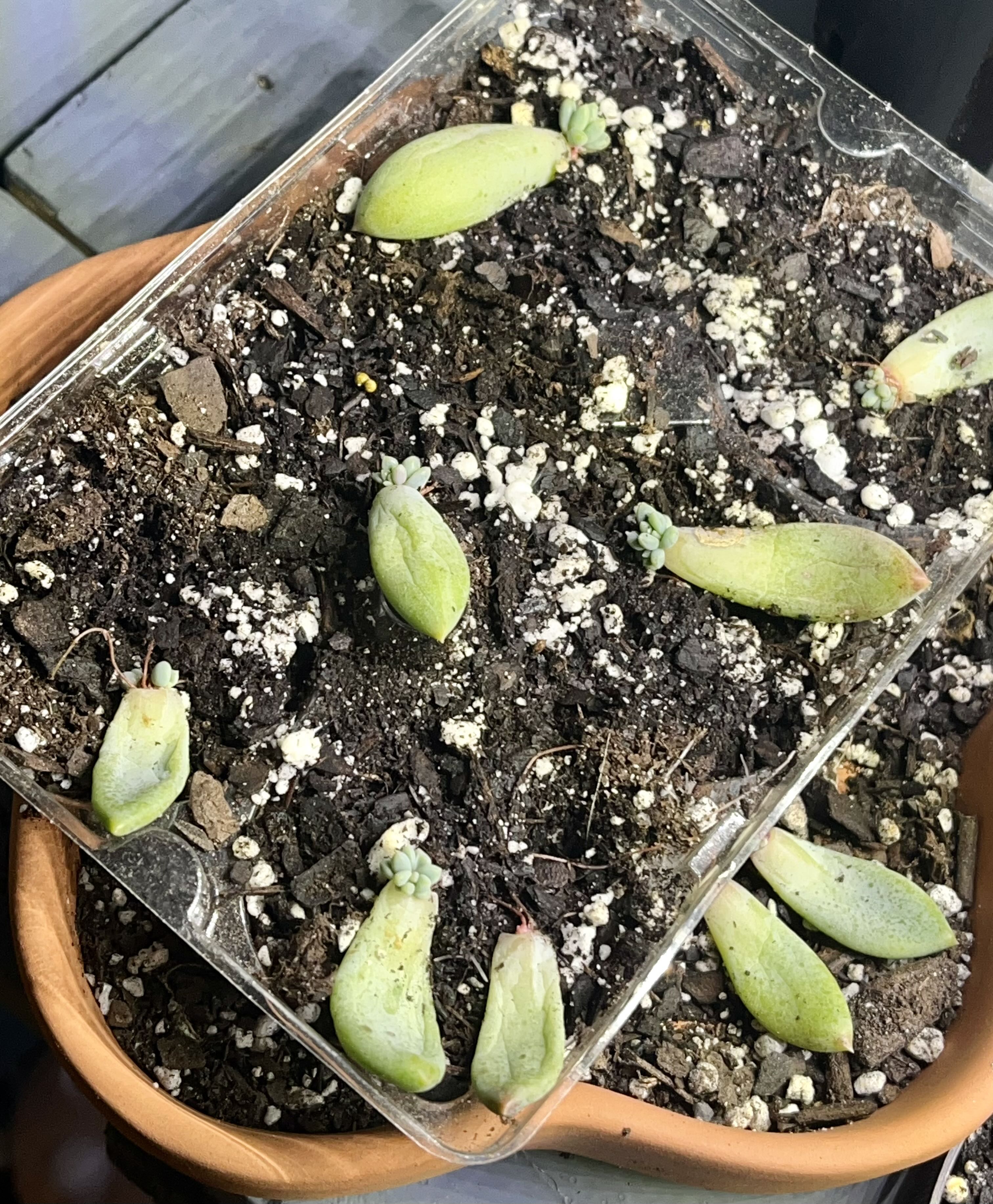Photo from the post