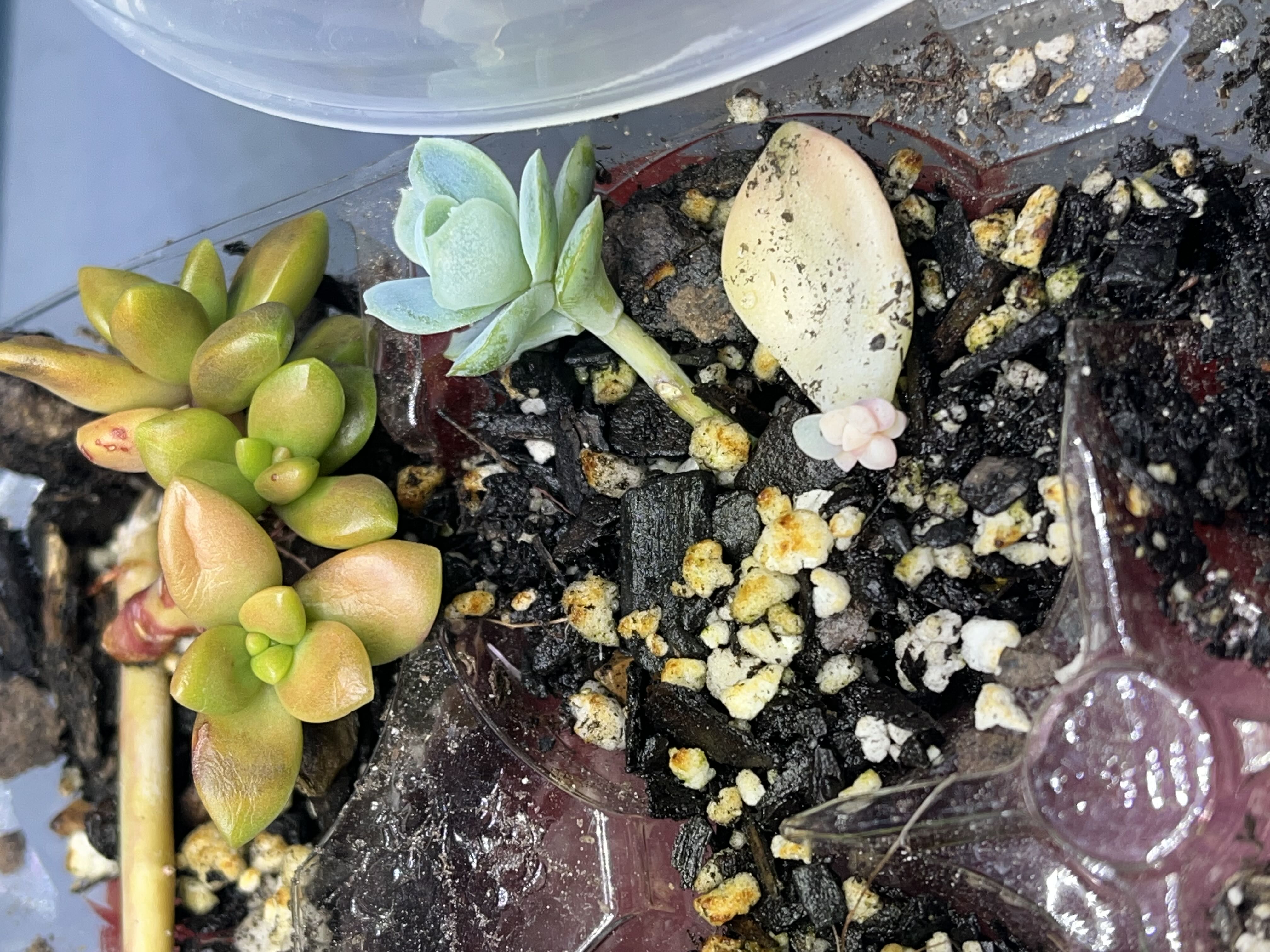 Photo from the post