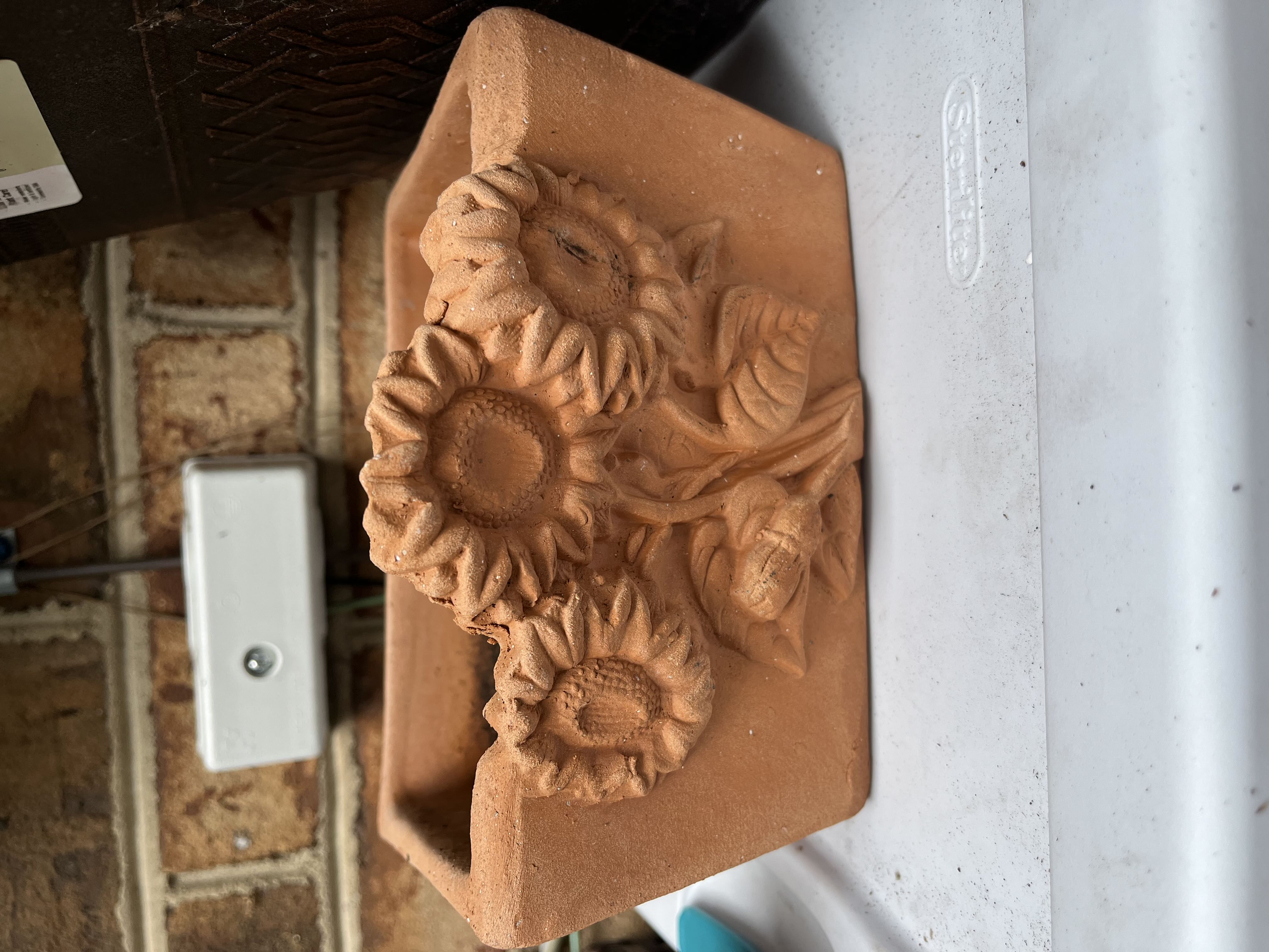 Photo from the post