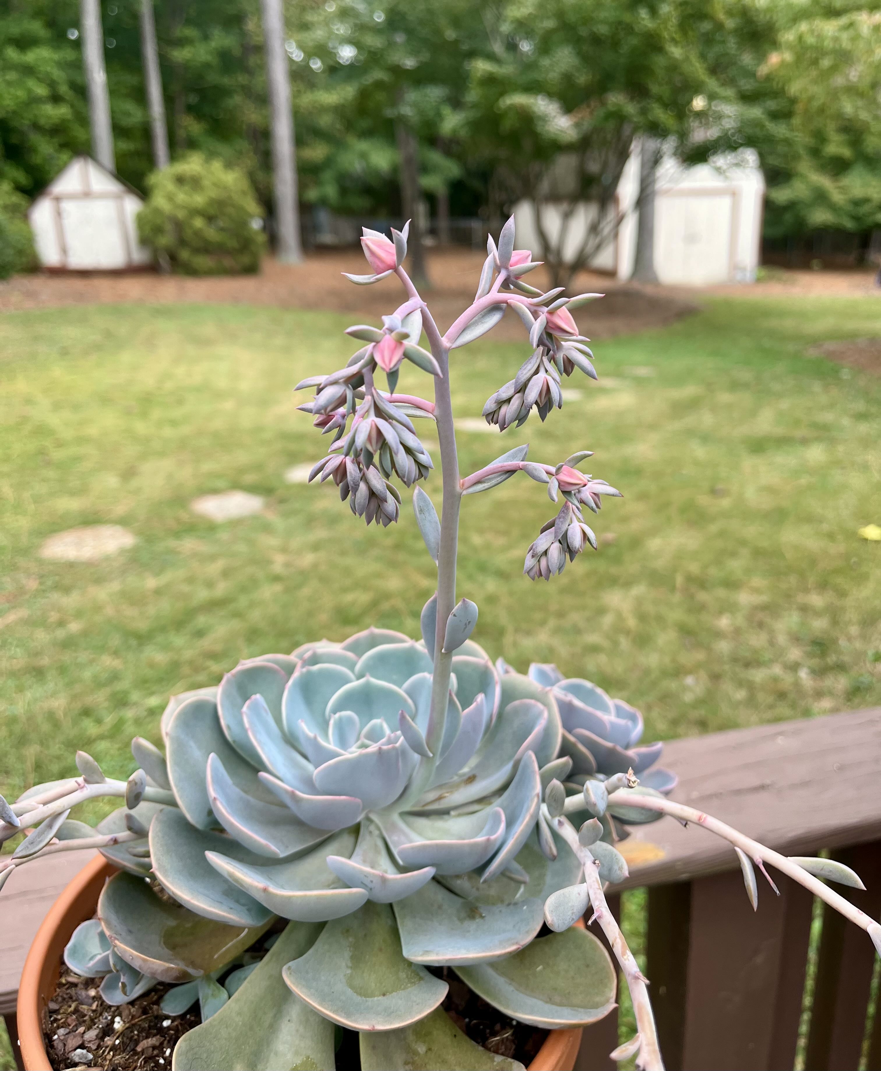 Photo from the post