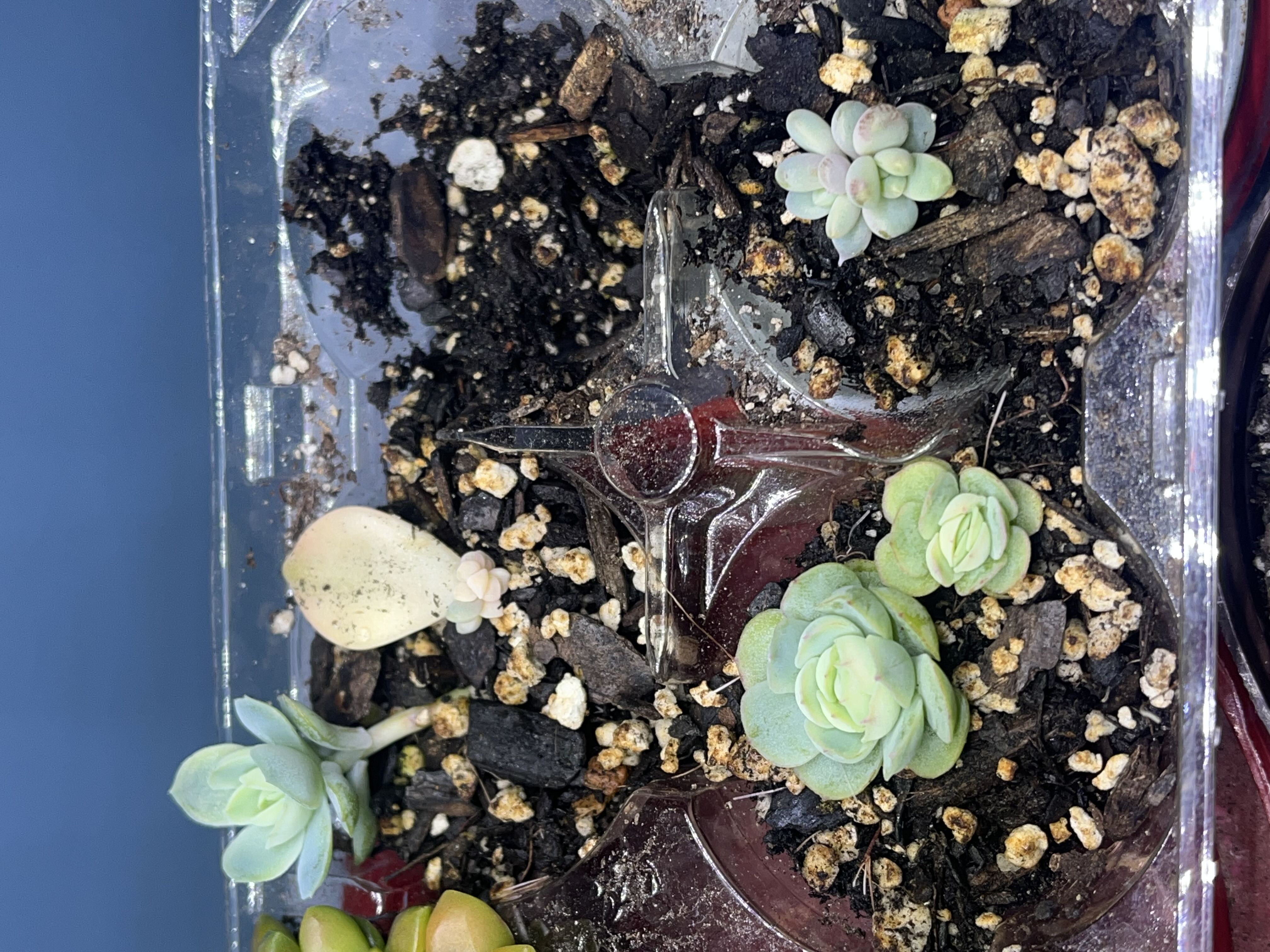 Photo from the post