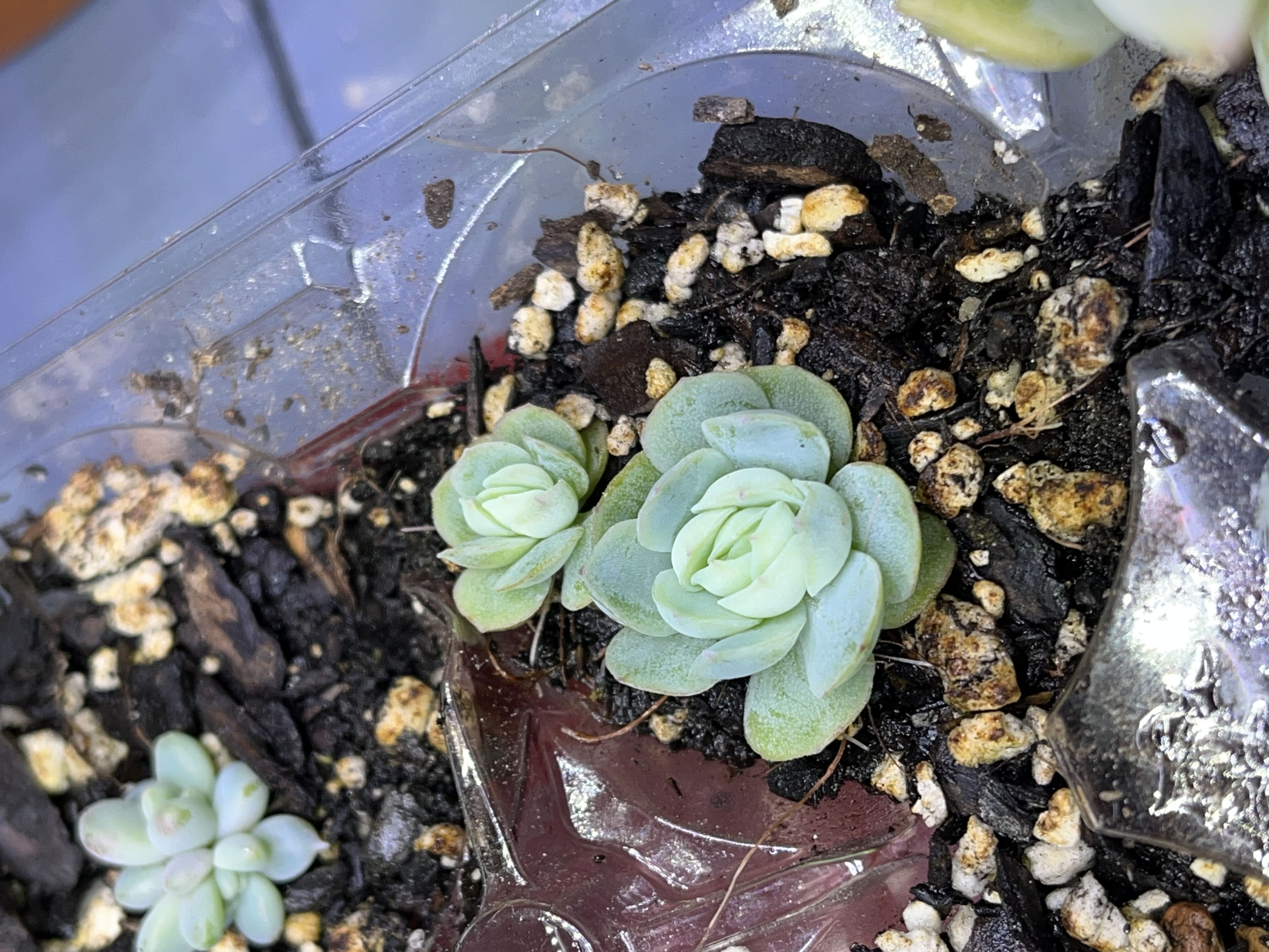 Photo from the post