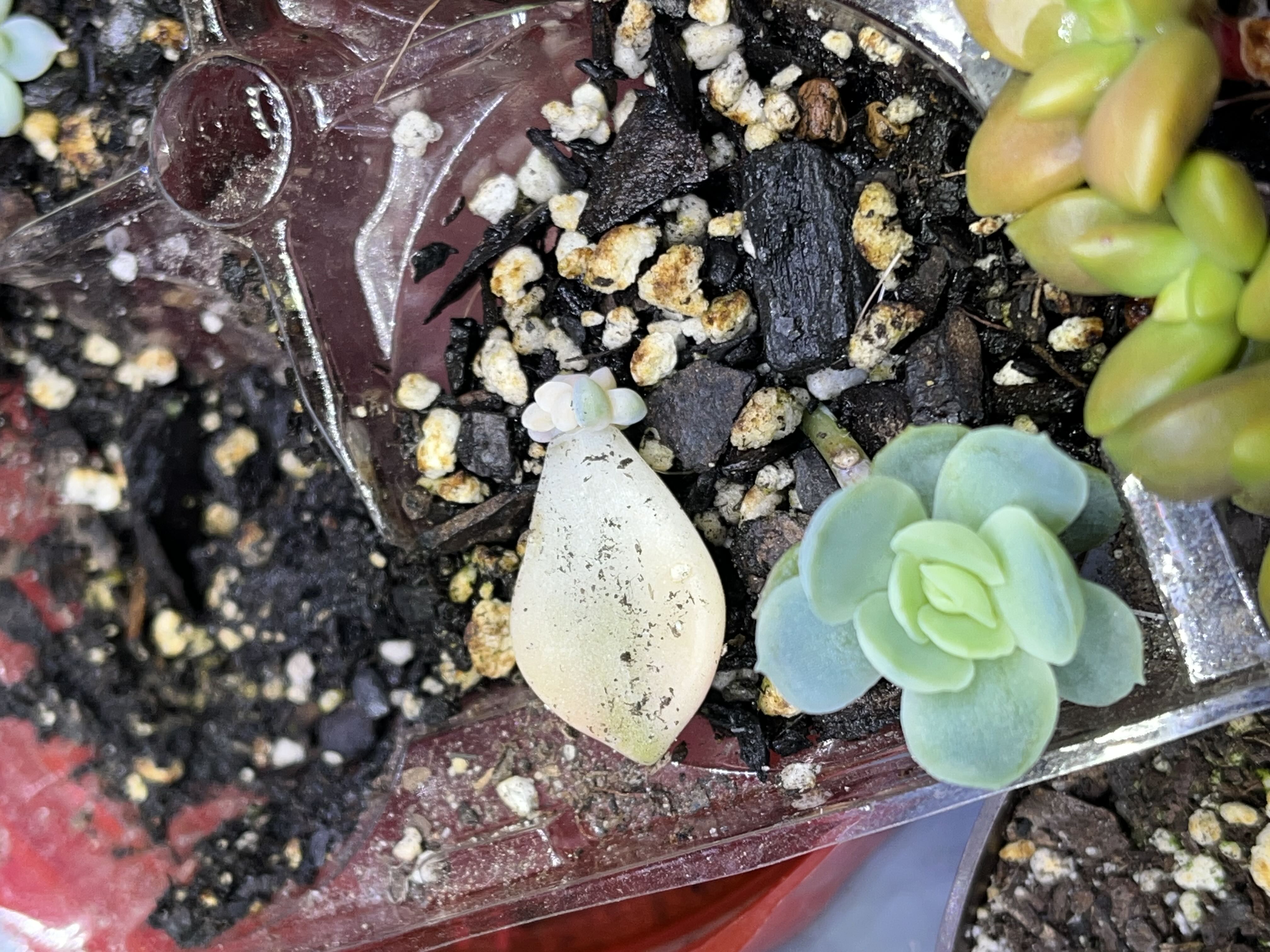 Photo from the post