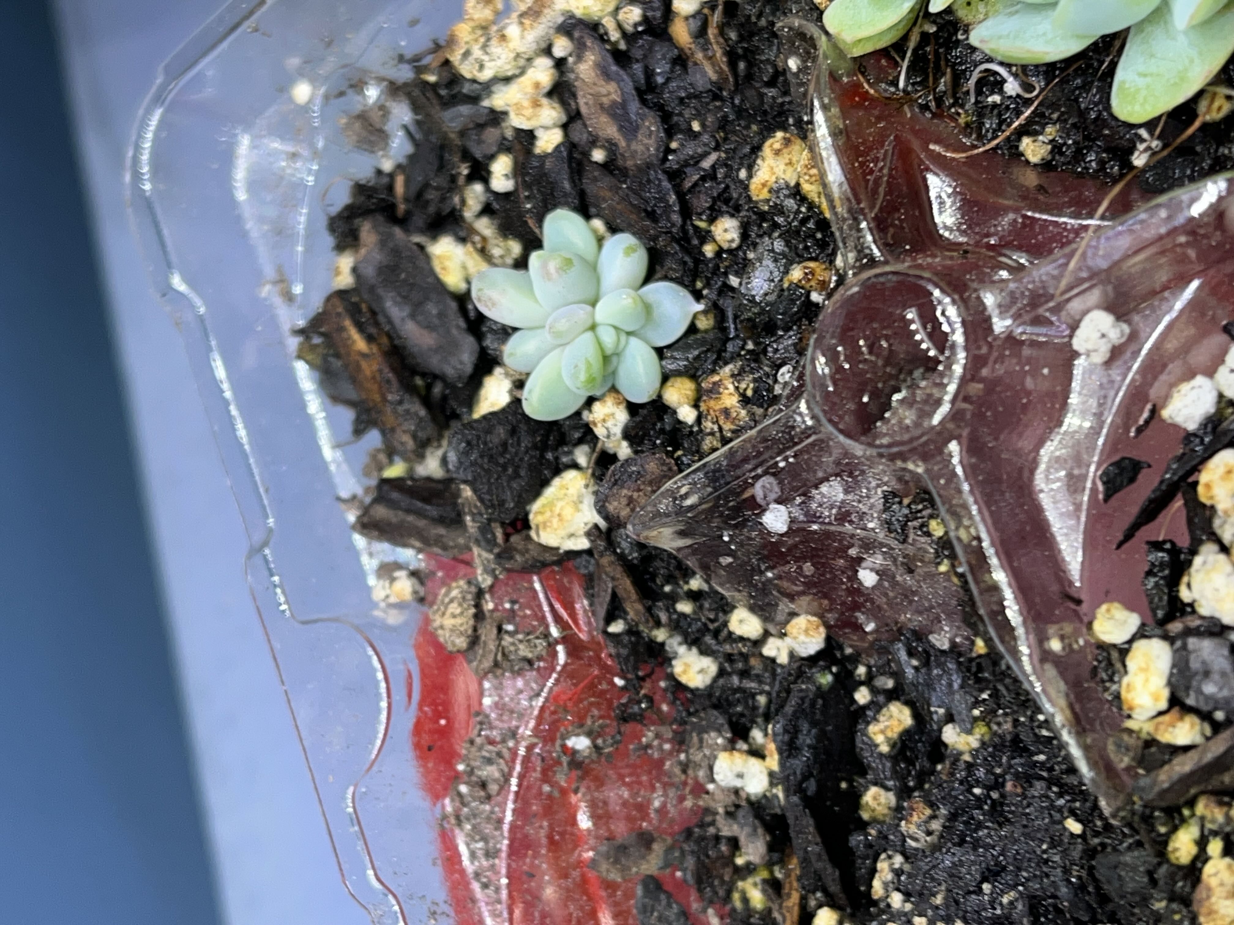 Photo from the post