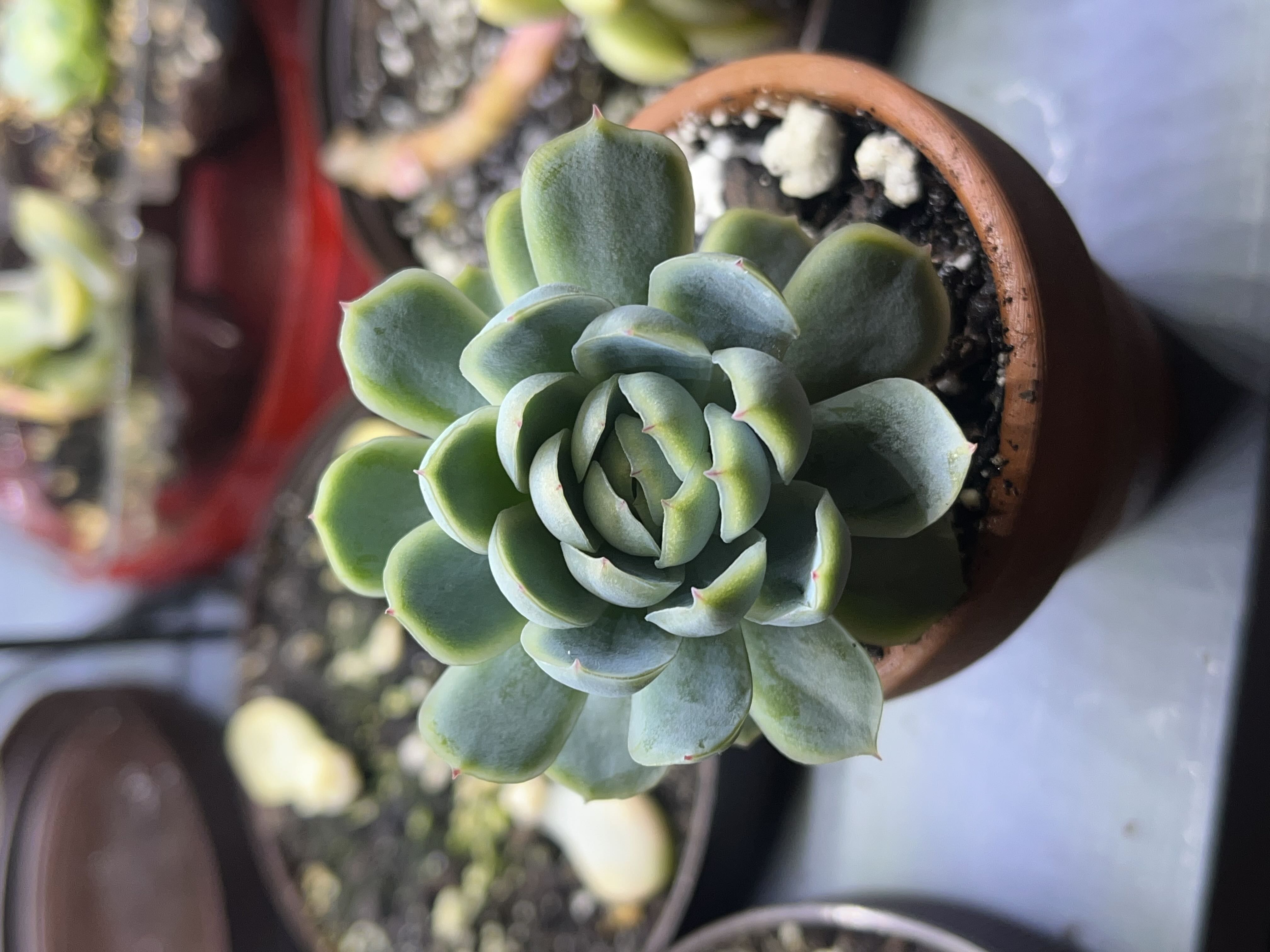 Photo from the post