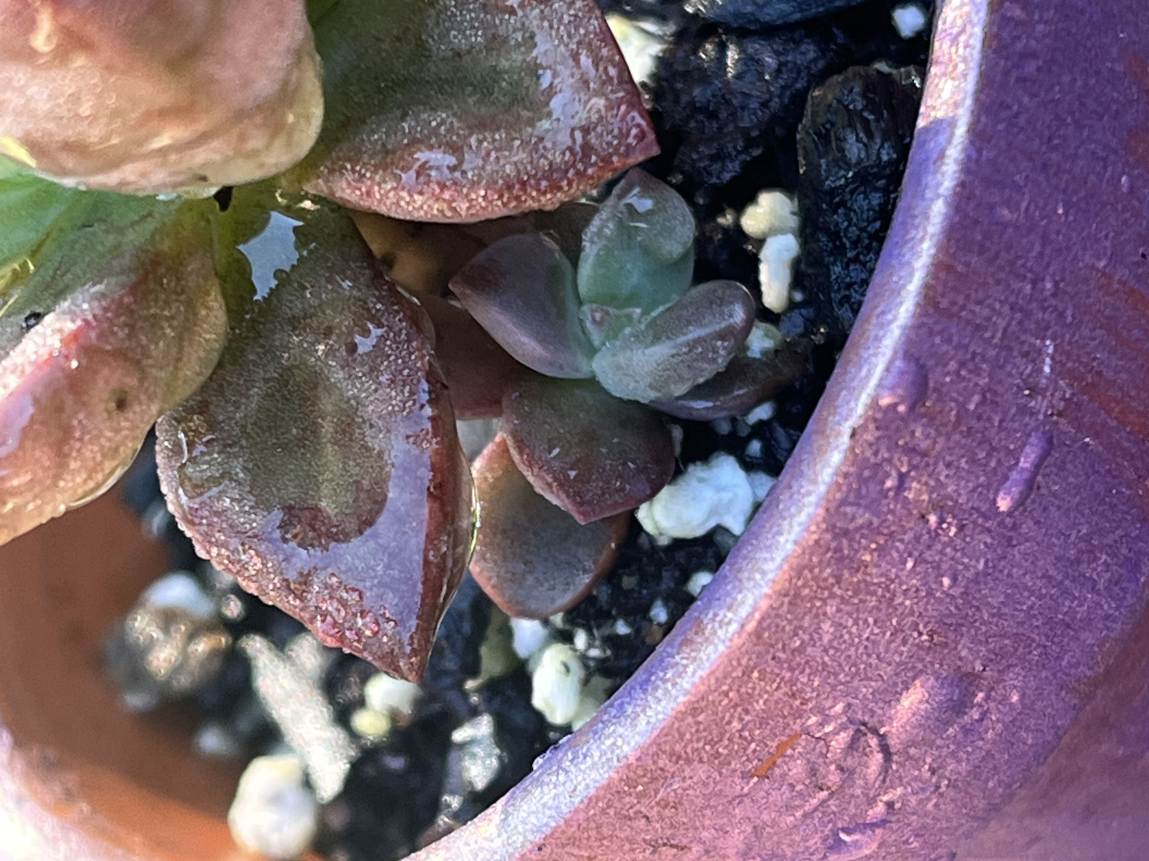 Photo from the post