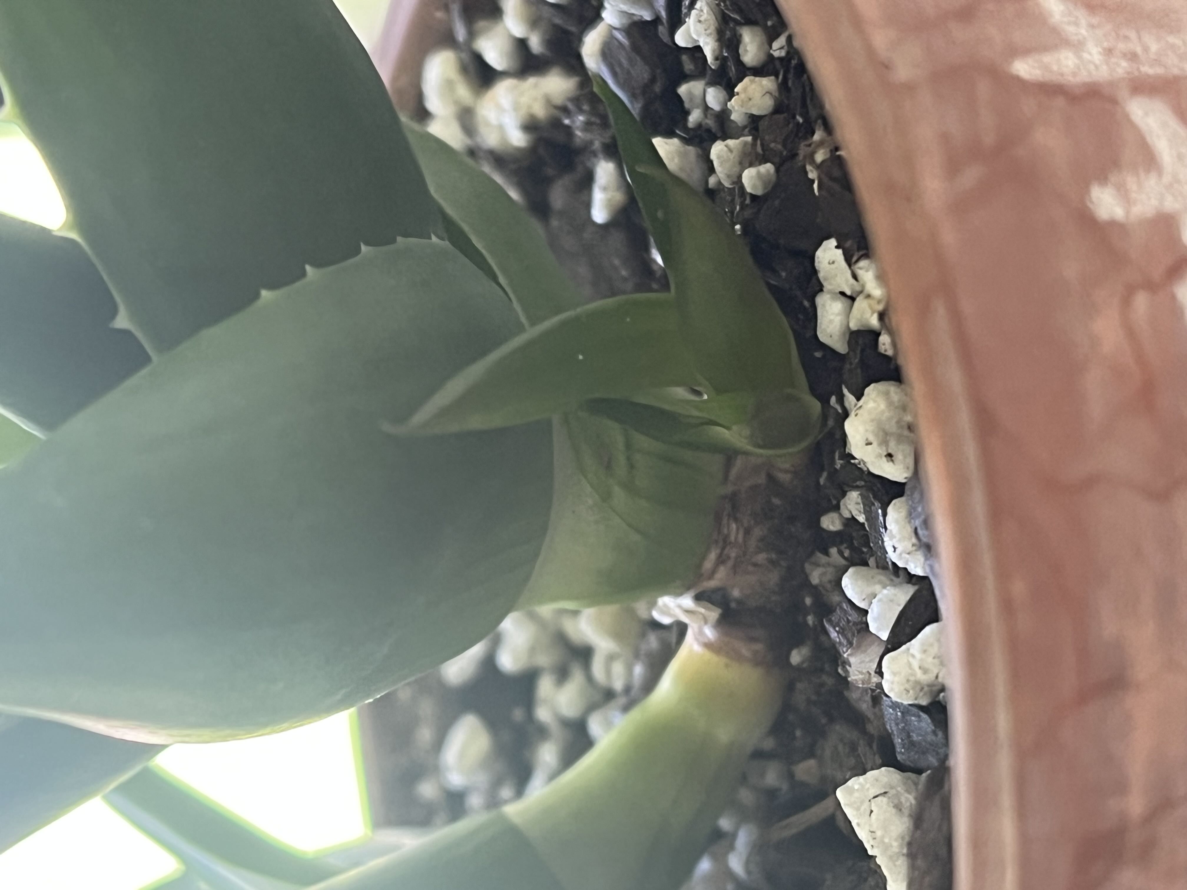 Photo from the post