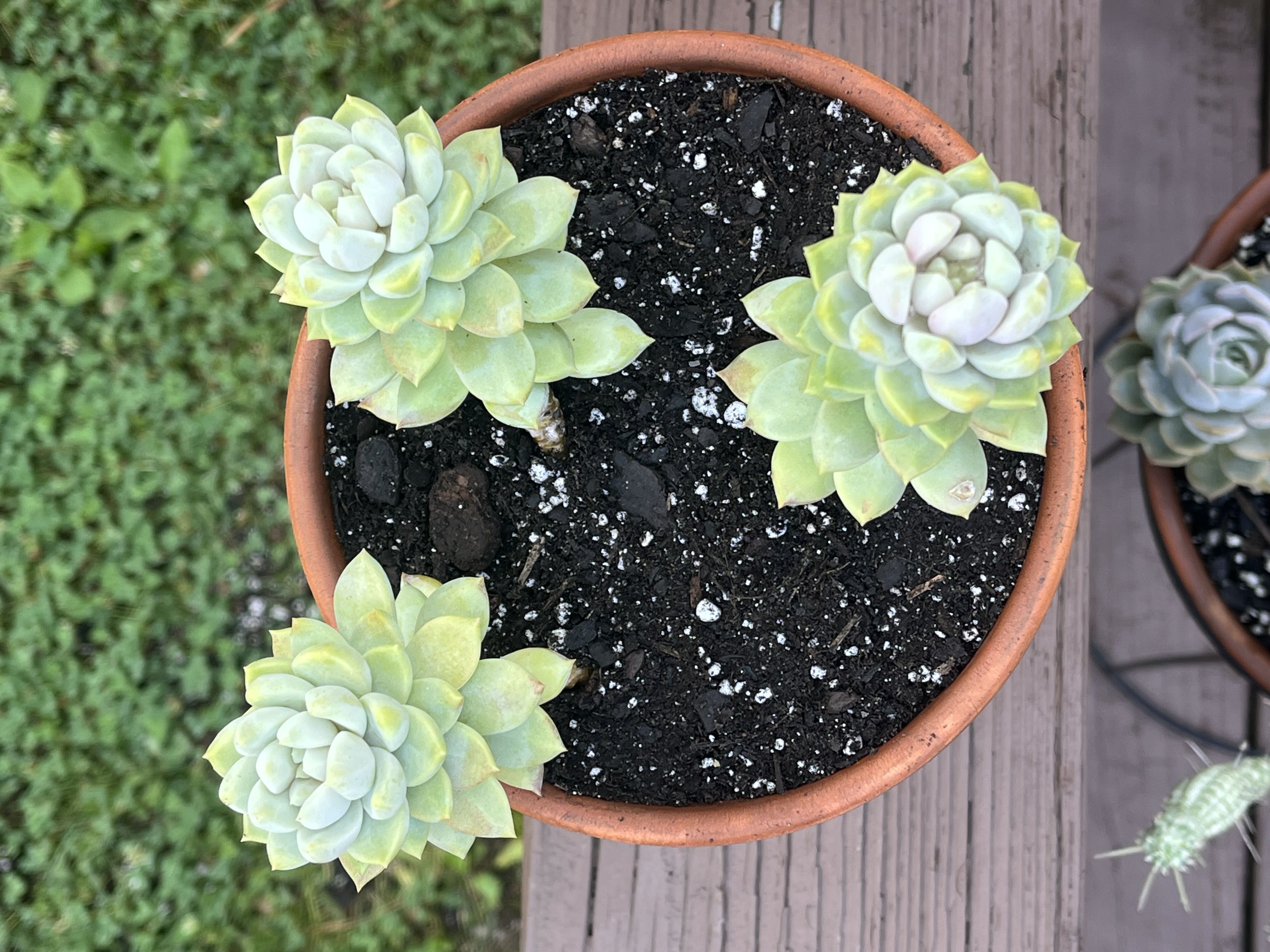 Photo from the post