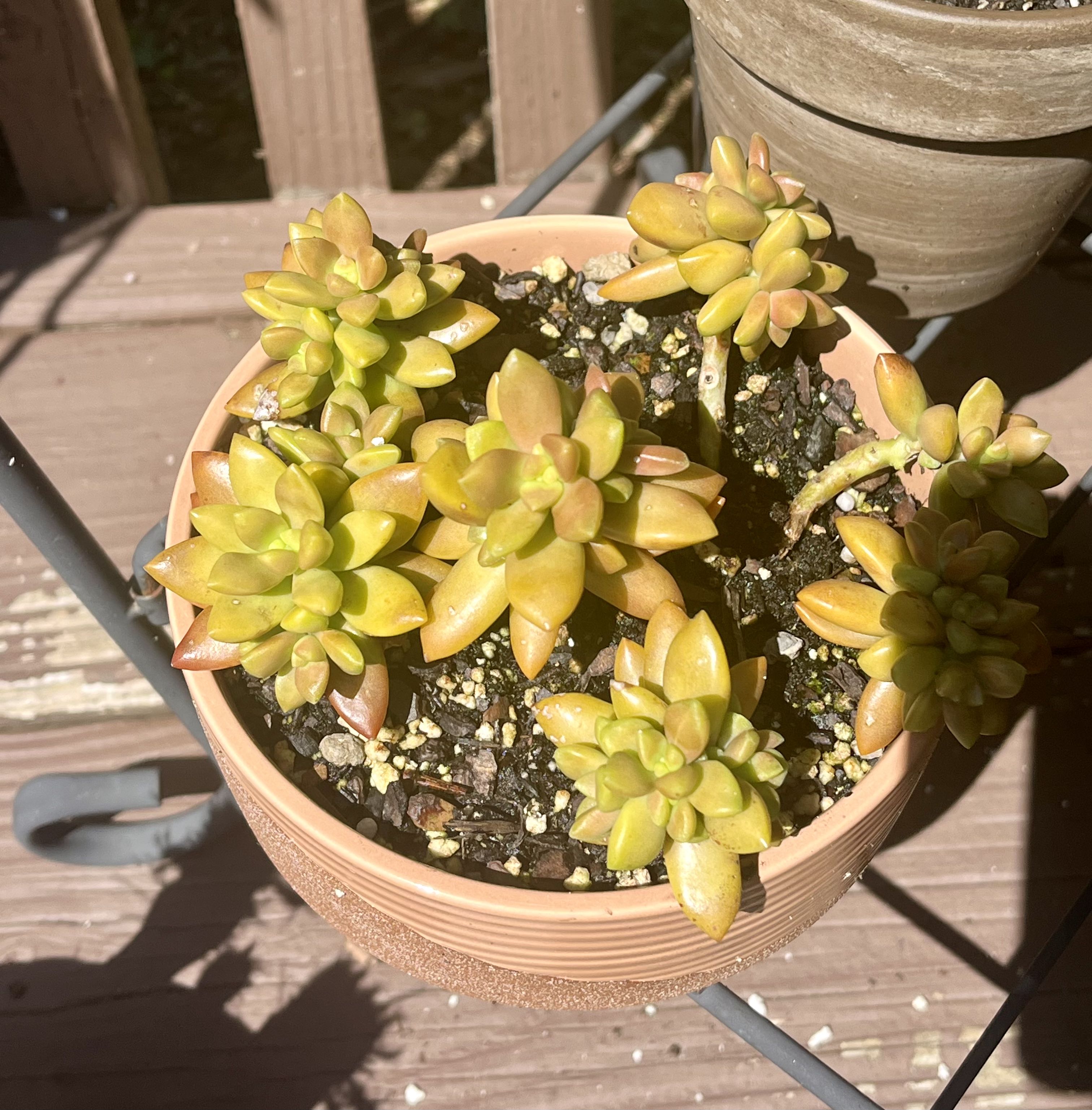 Photo from the post