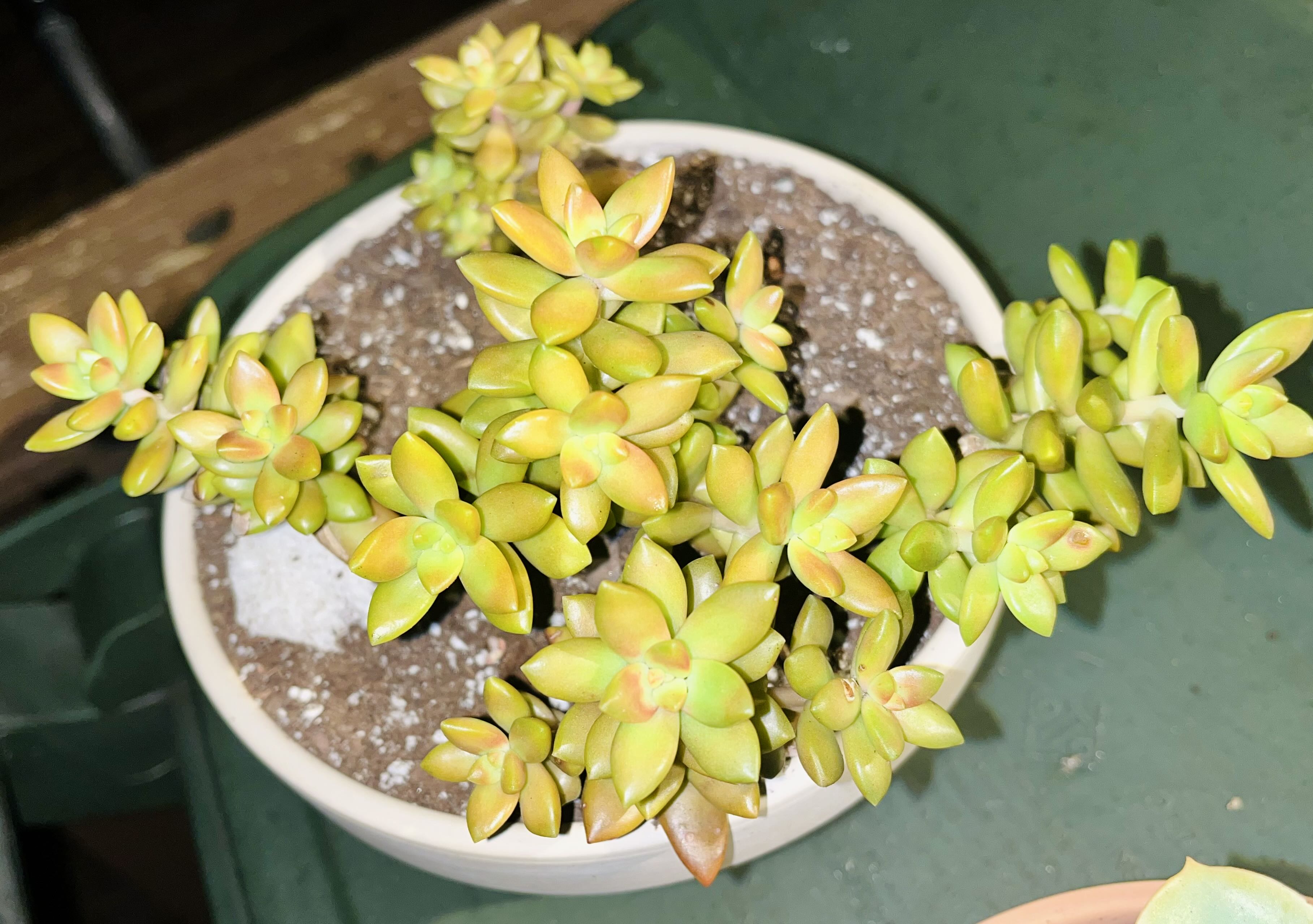 Photo from the post