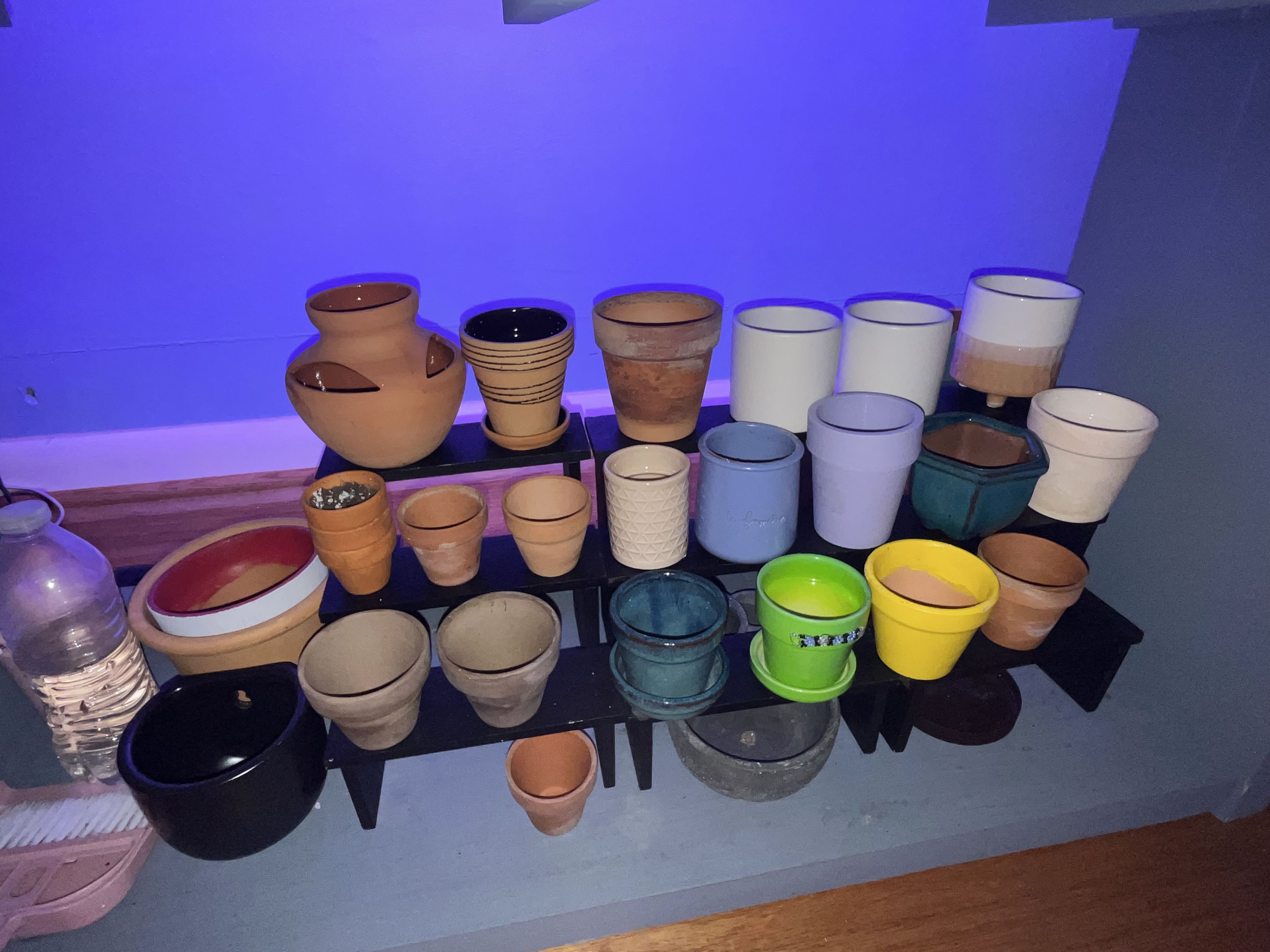 Photo from the post