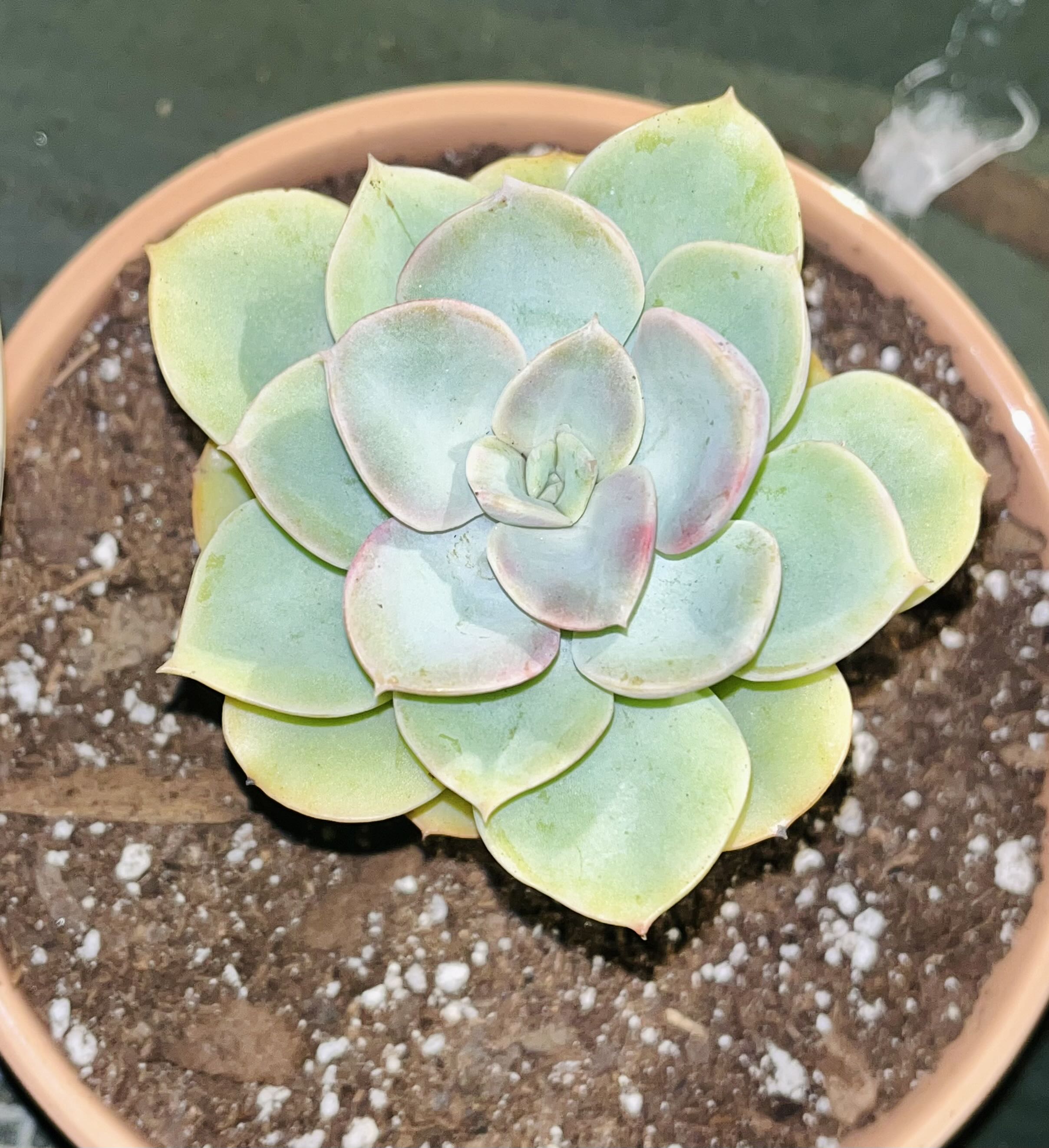 Photo from the post