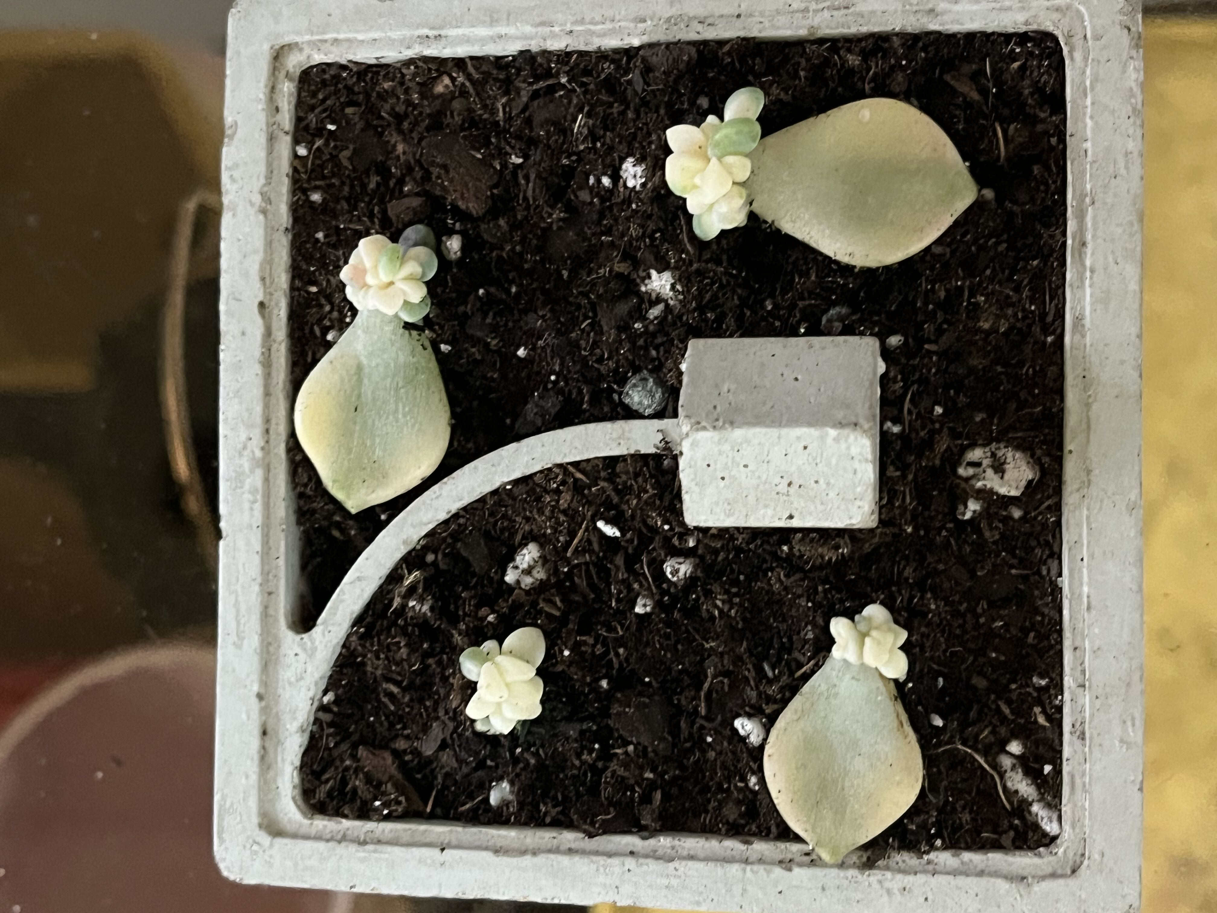 Photo from the post