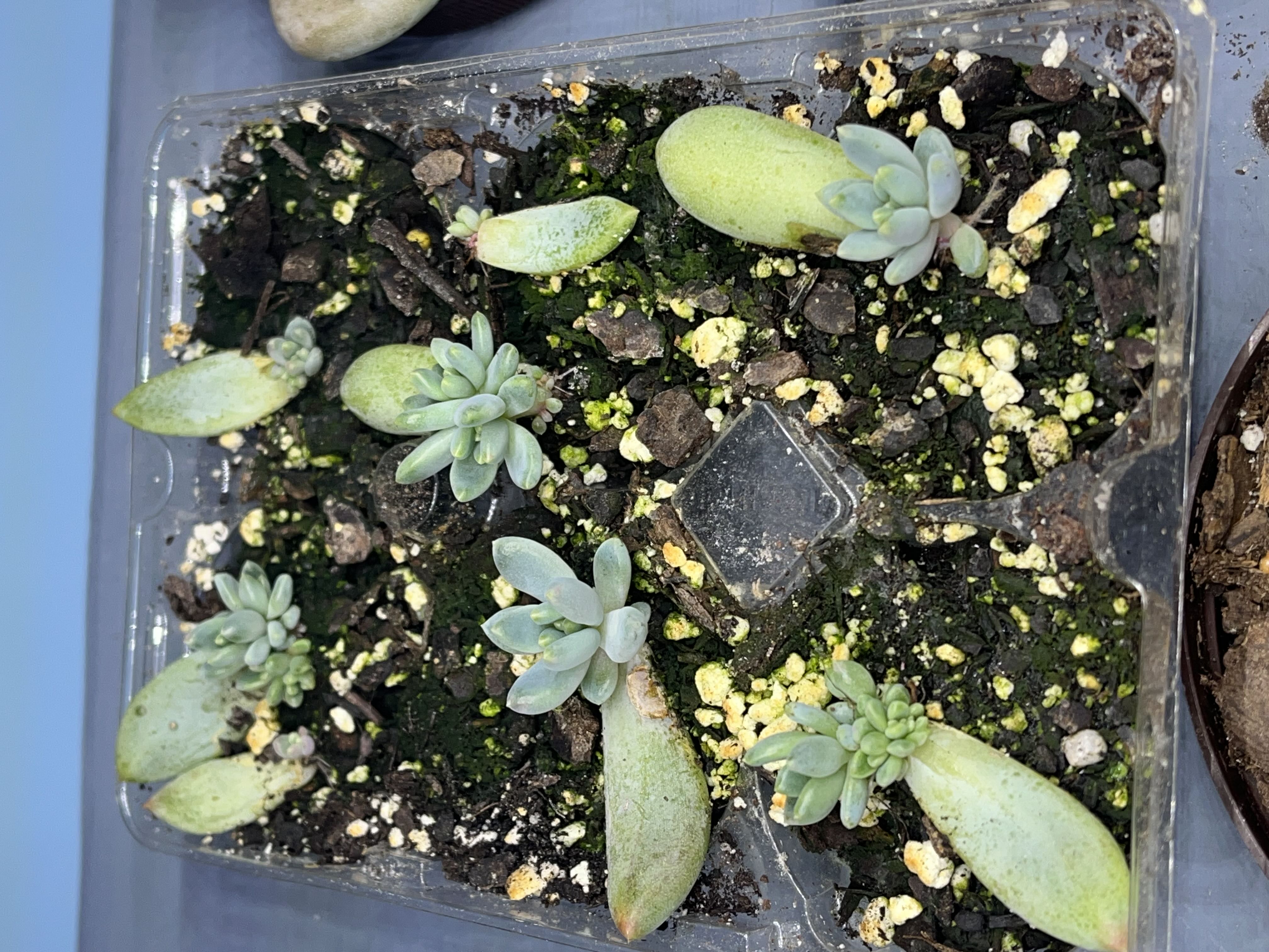 Photo from the post