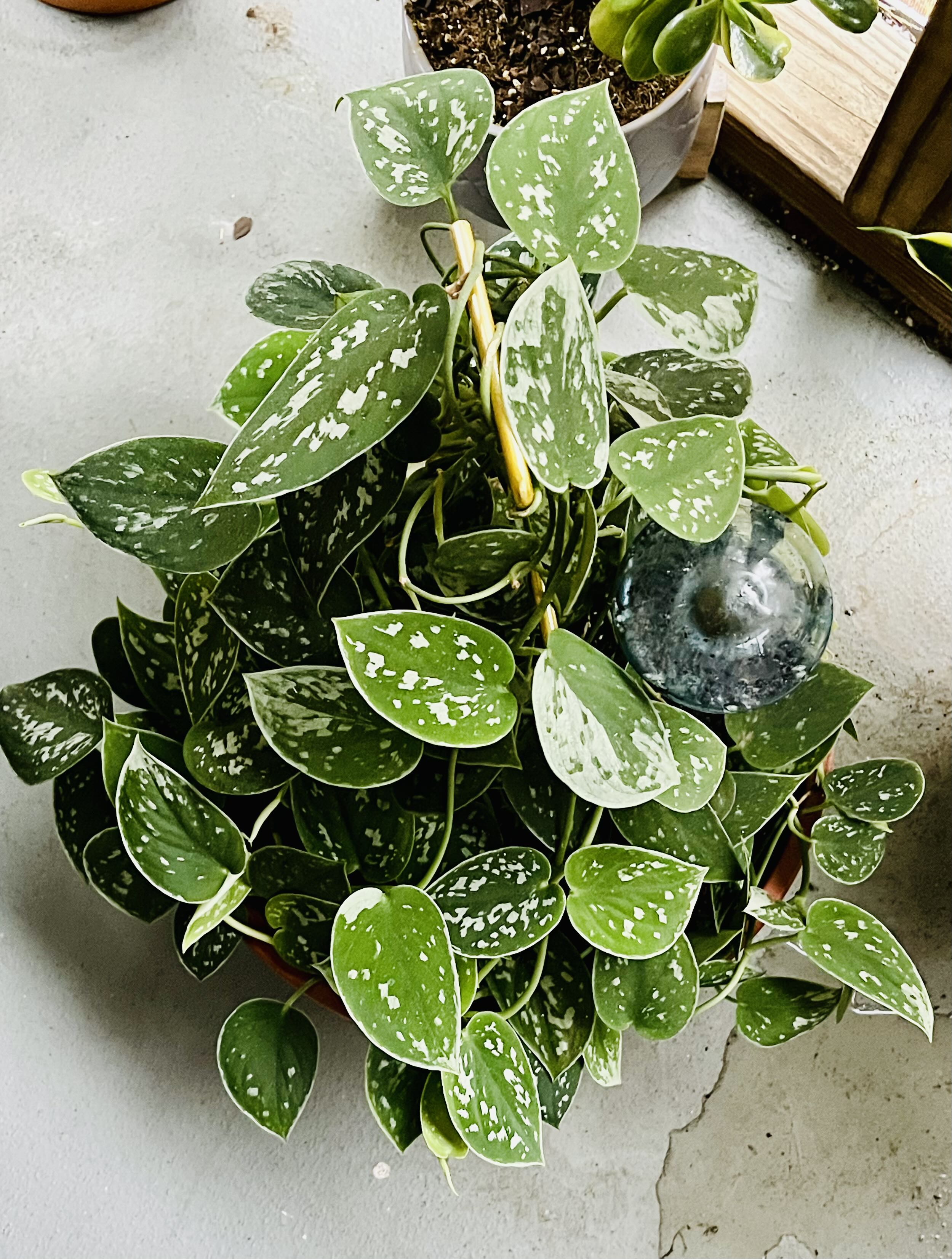 Photo from the post