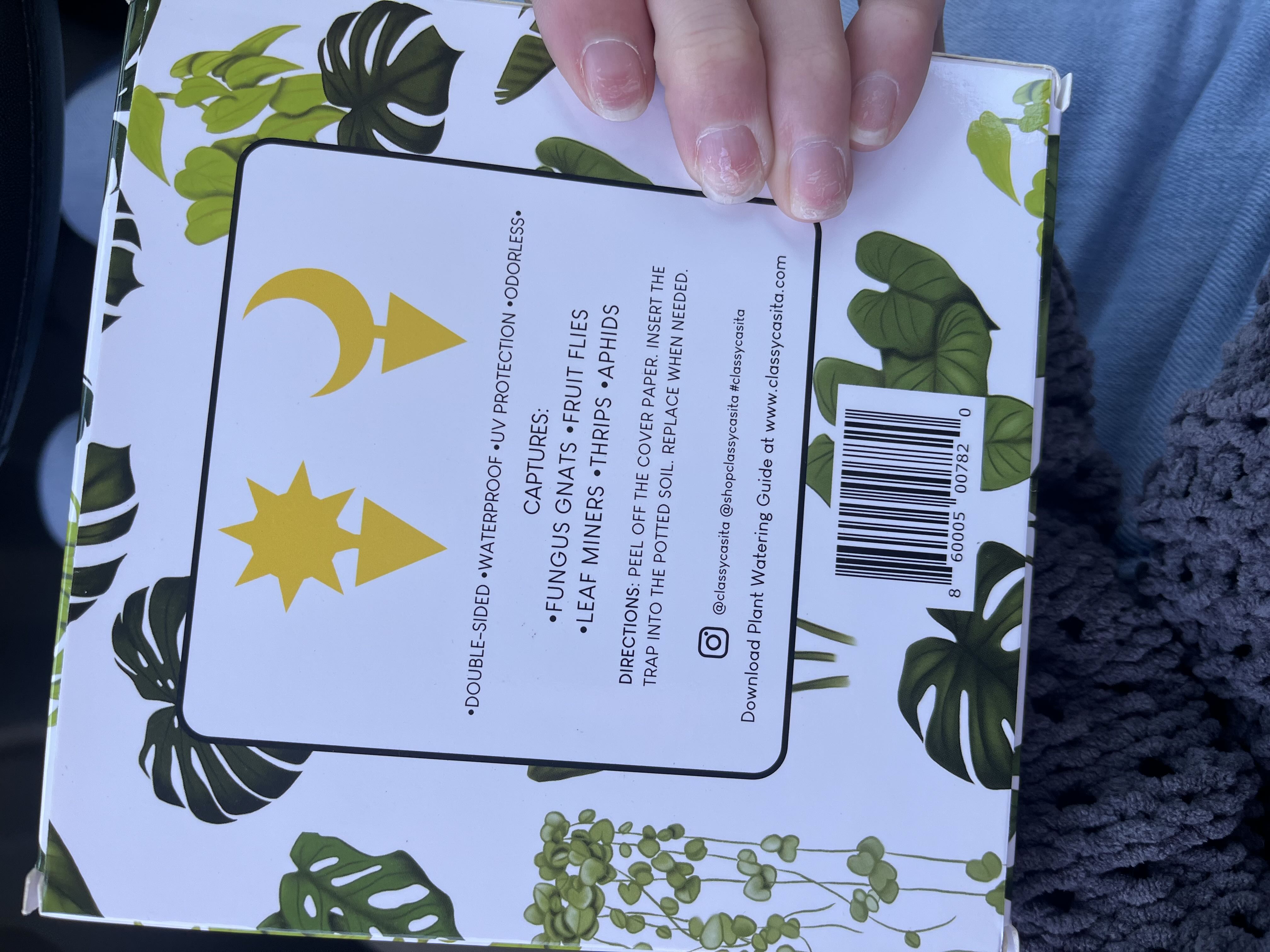 Photo from the post